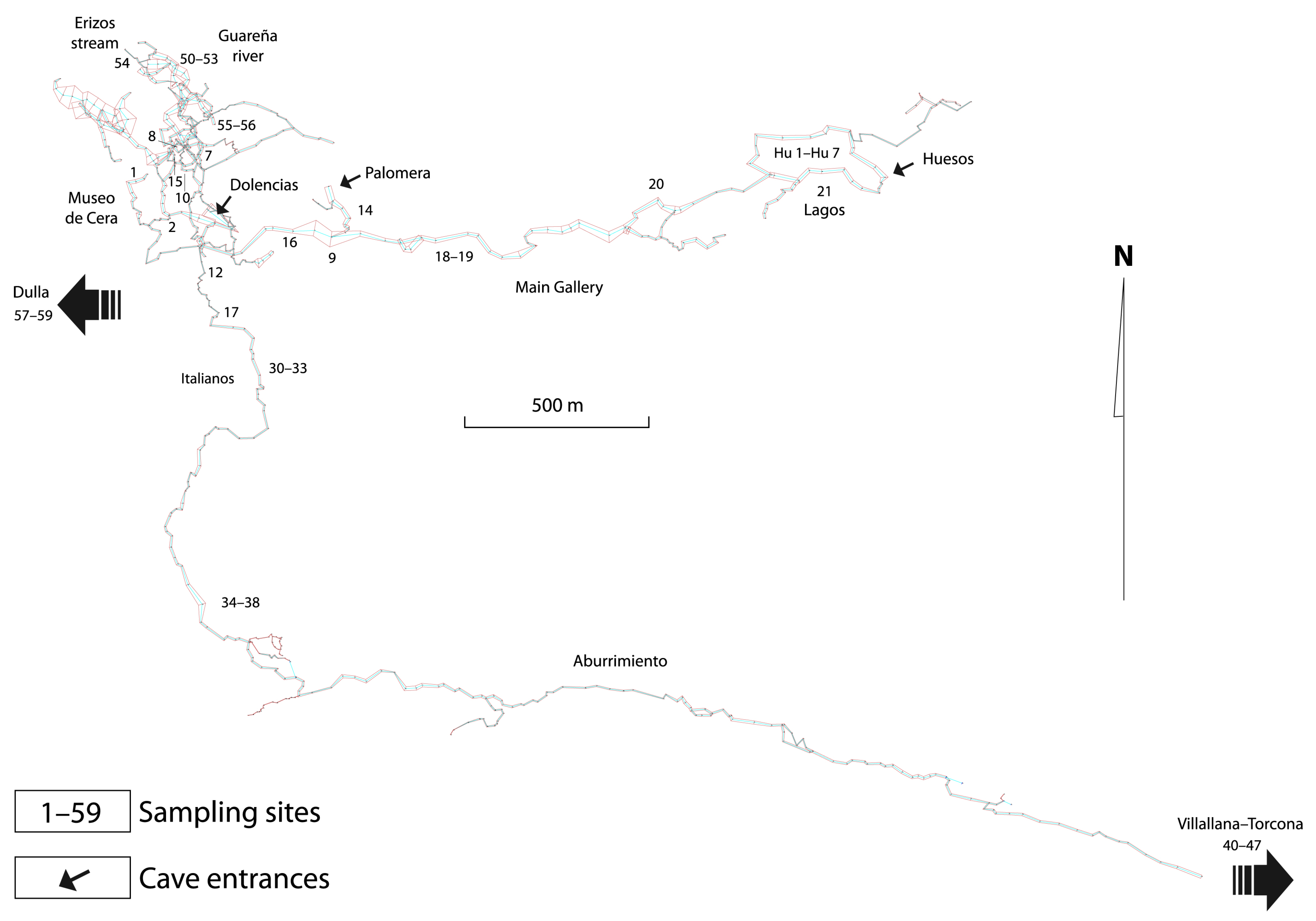 Diversity 13 00199 g004