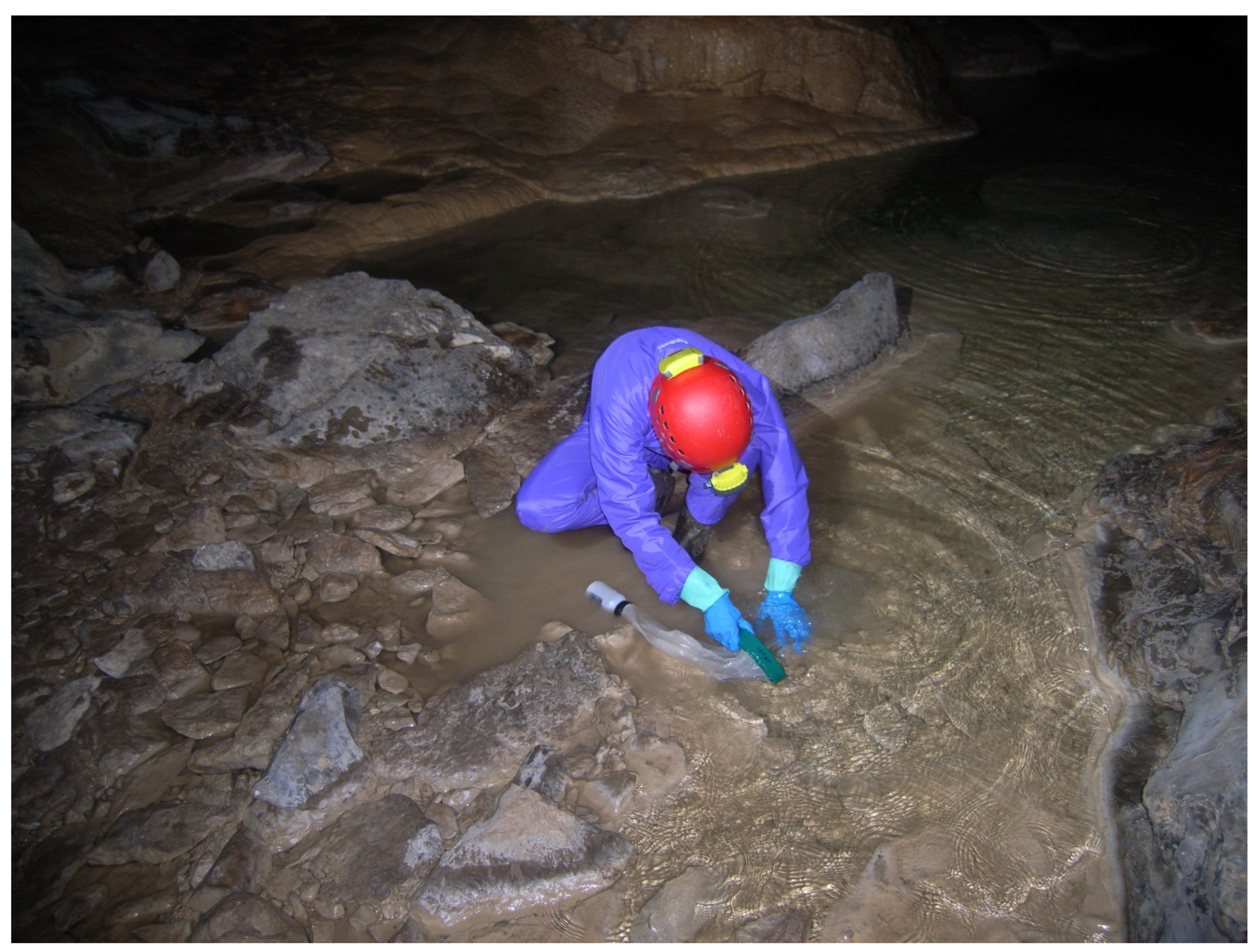 Diversity 13 00199 g005