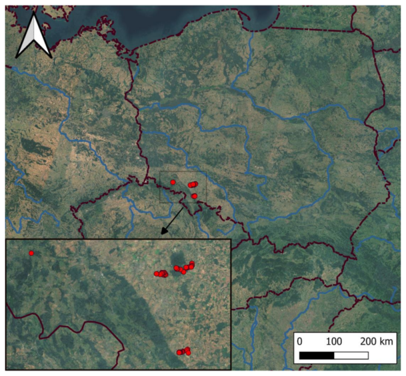 Diversity 13 00201 g001 Diversity 13 00201 g001