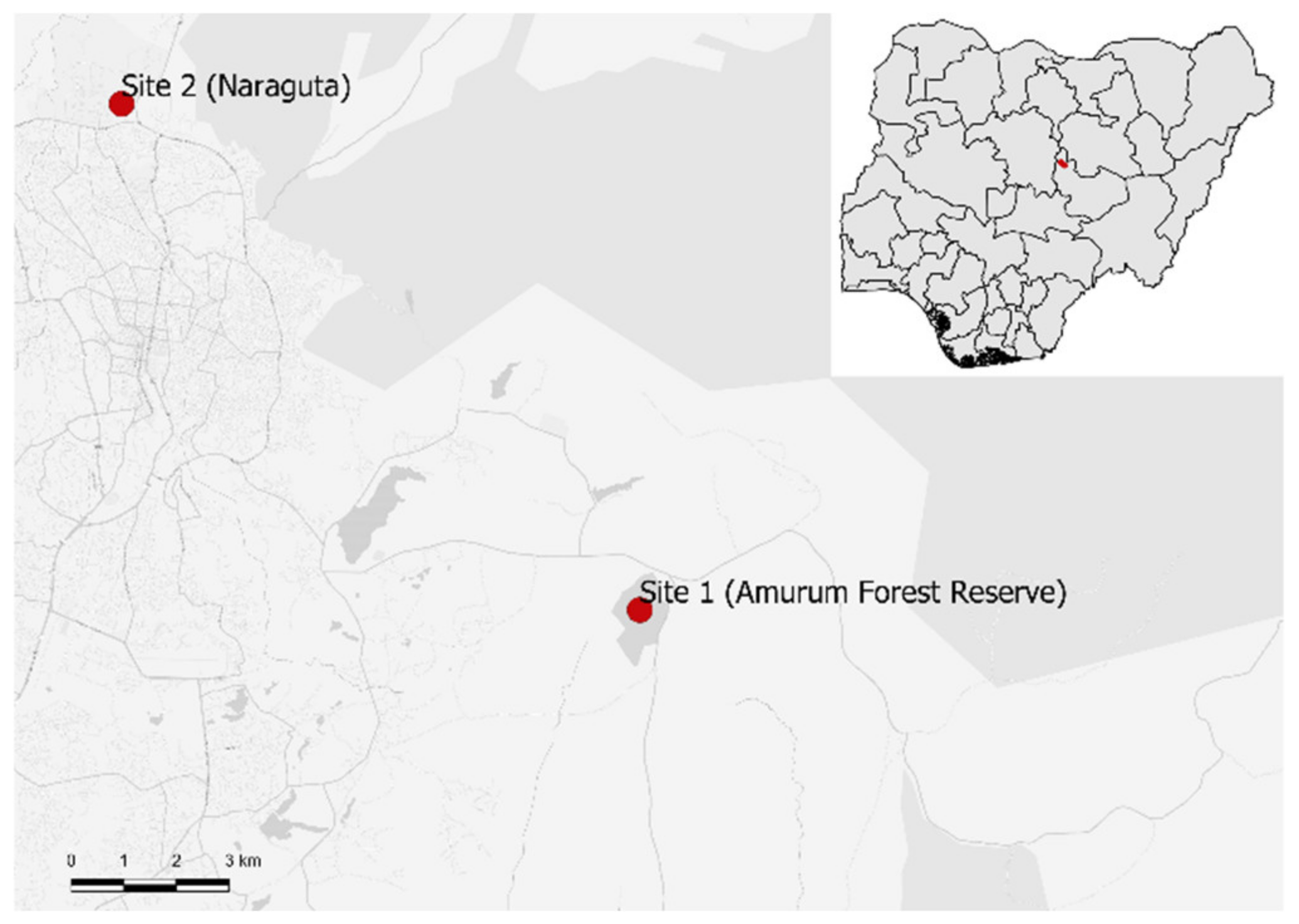 Diversity 13 00202 g001