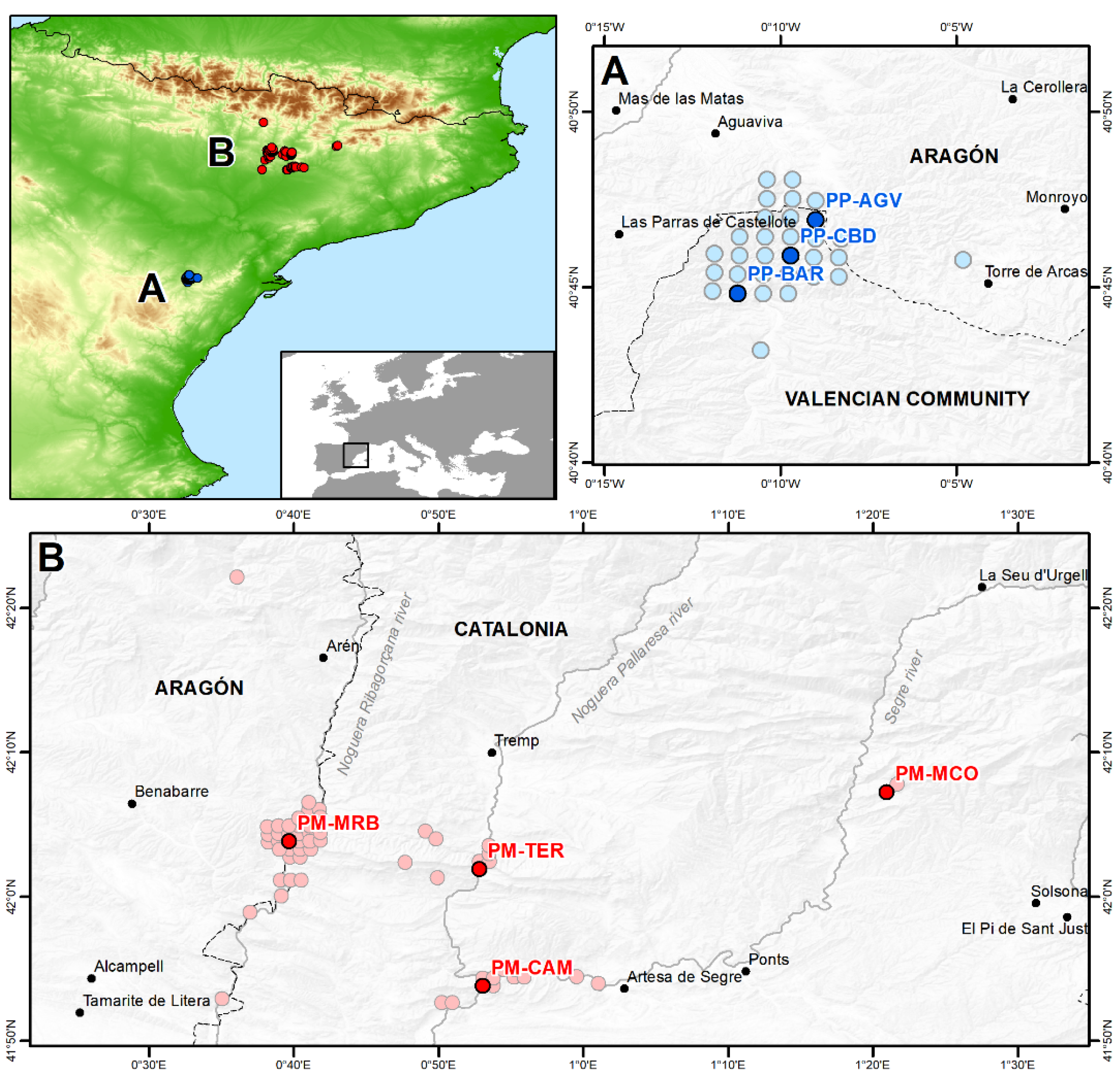 Diversity 13 00205 g001
