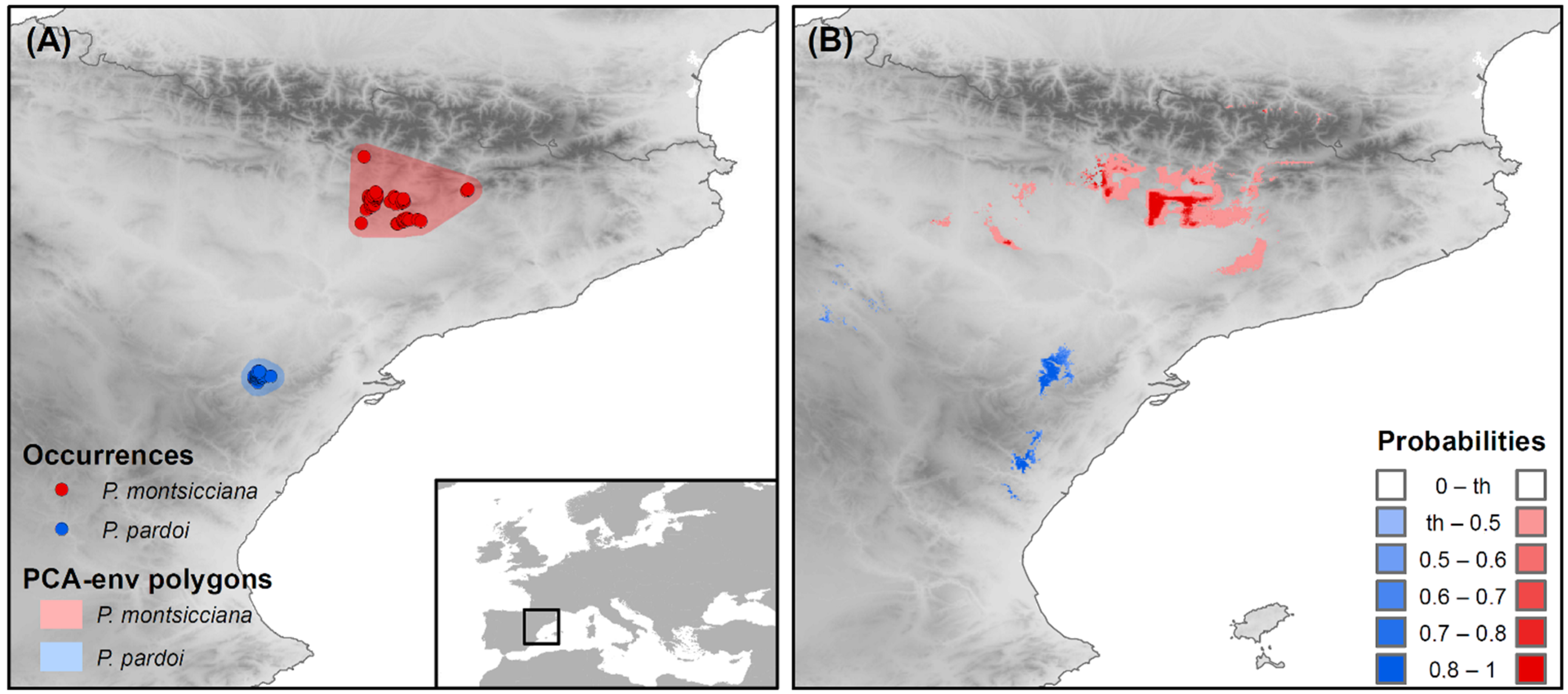 Diversity 13 00205 g005