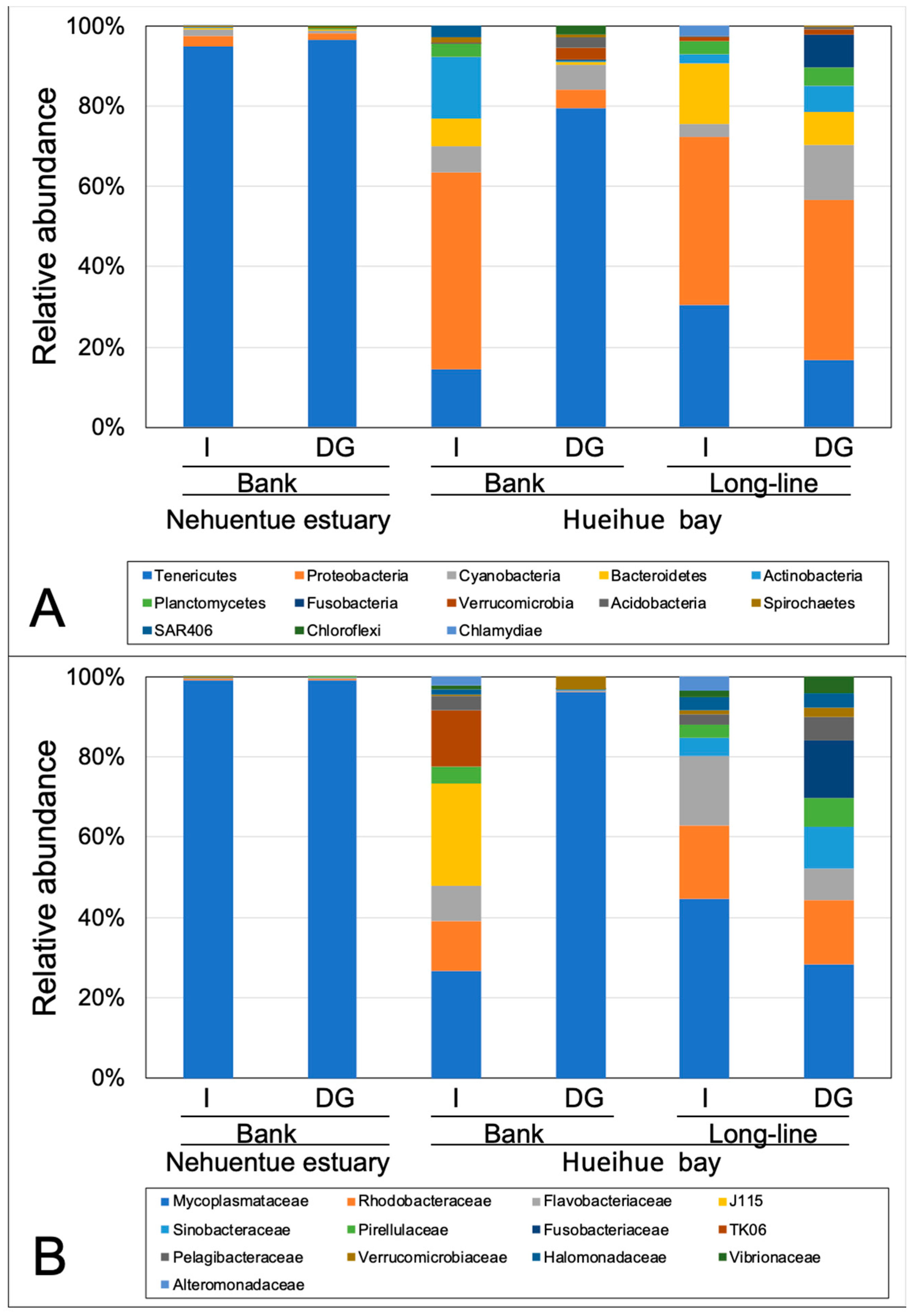 Diversity 13 00209 g002