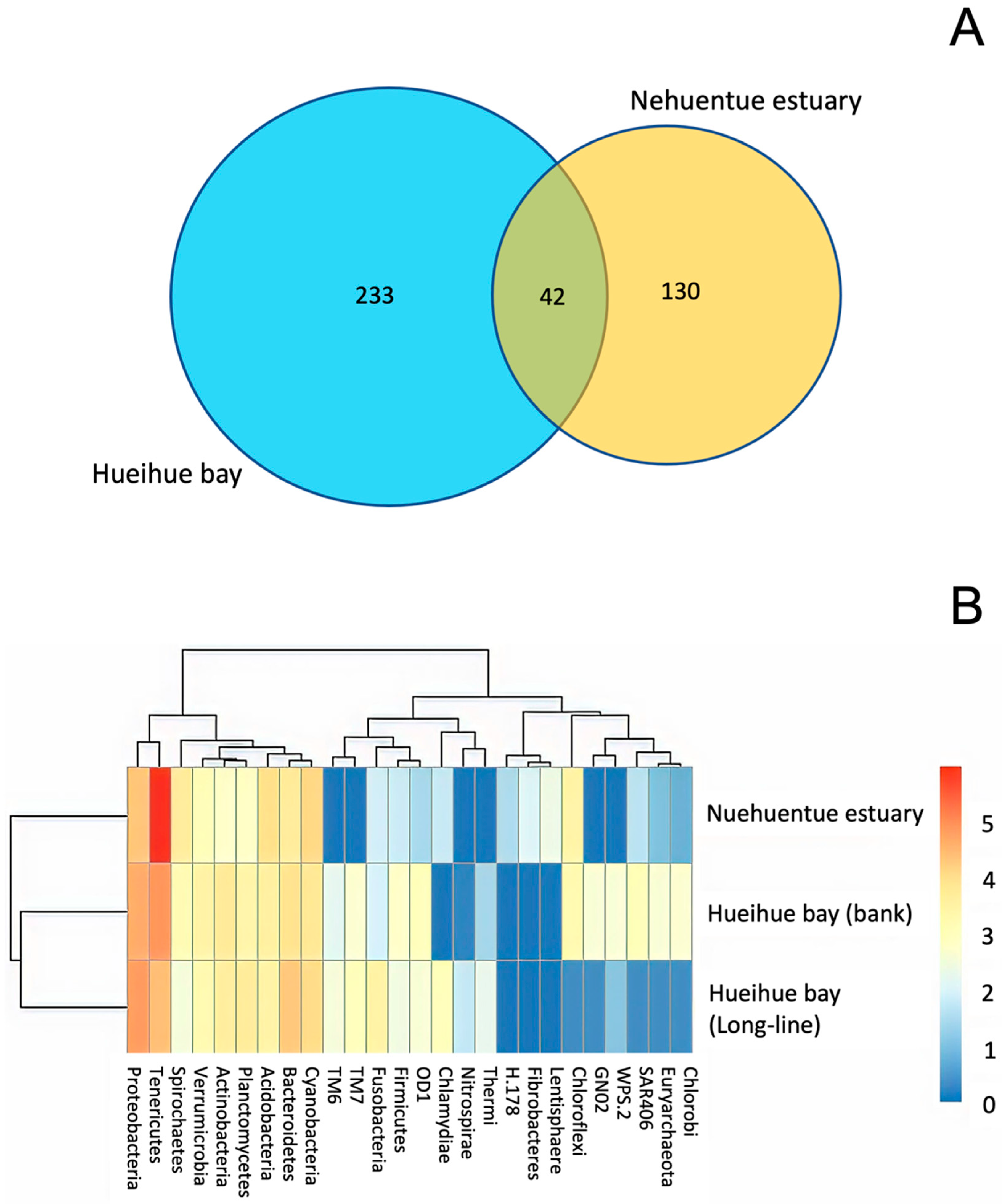 Diversity 13 00209 g004