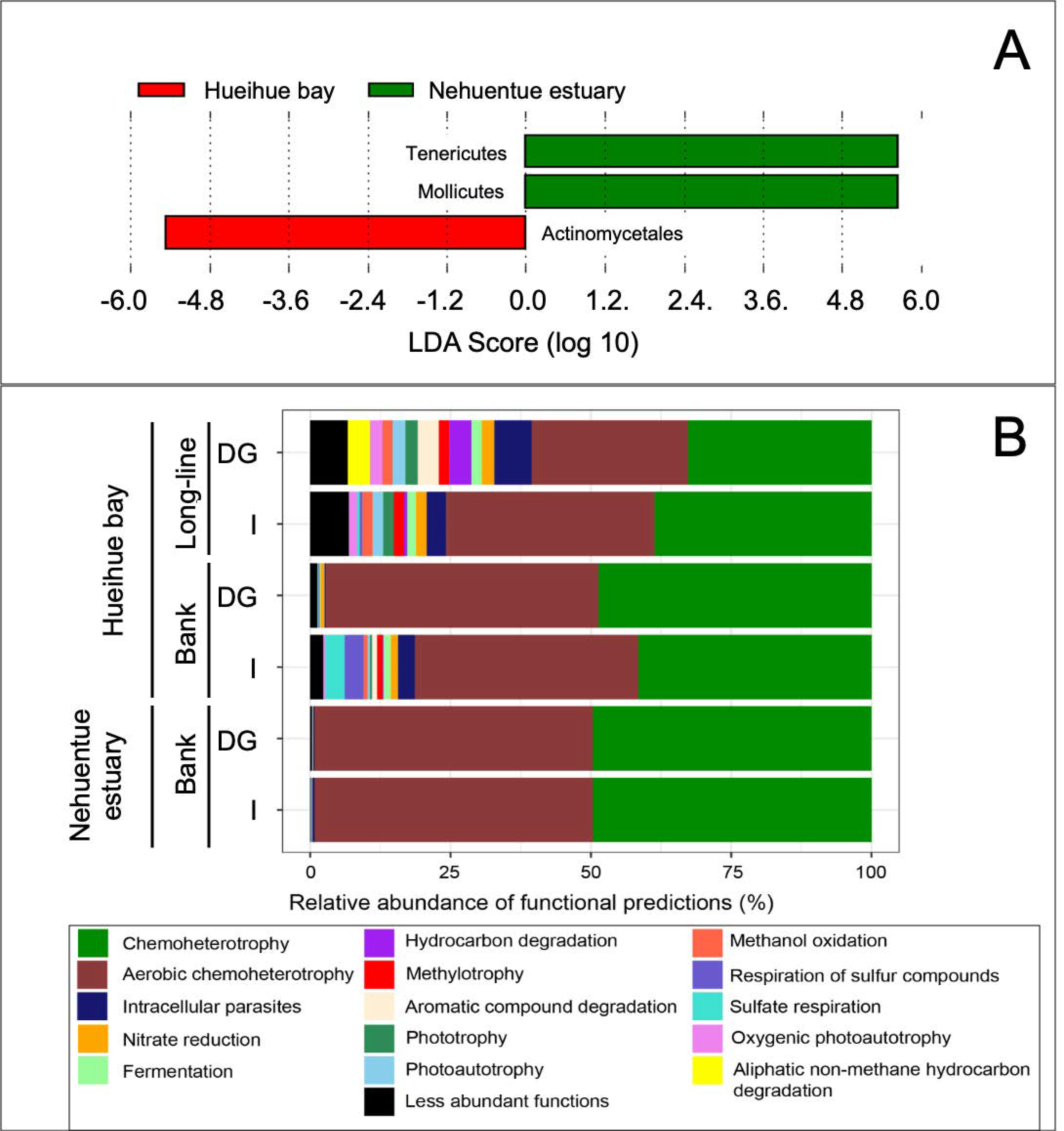 Diversity 13 00209 g005