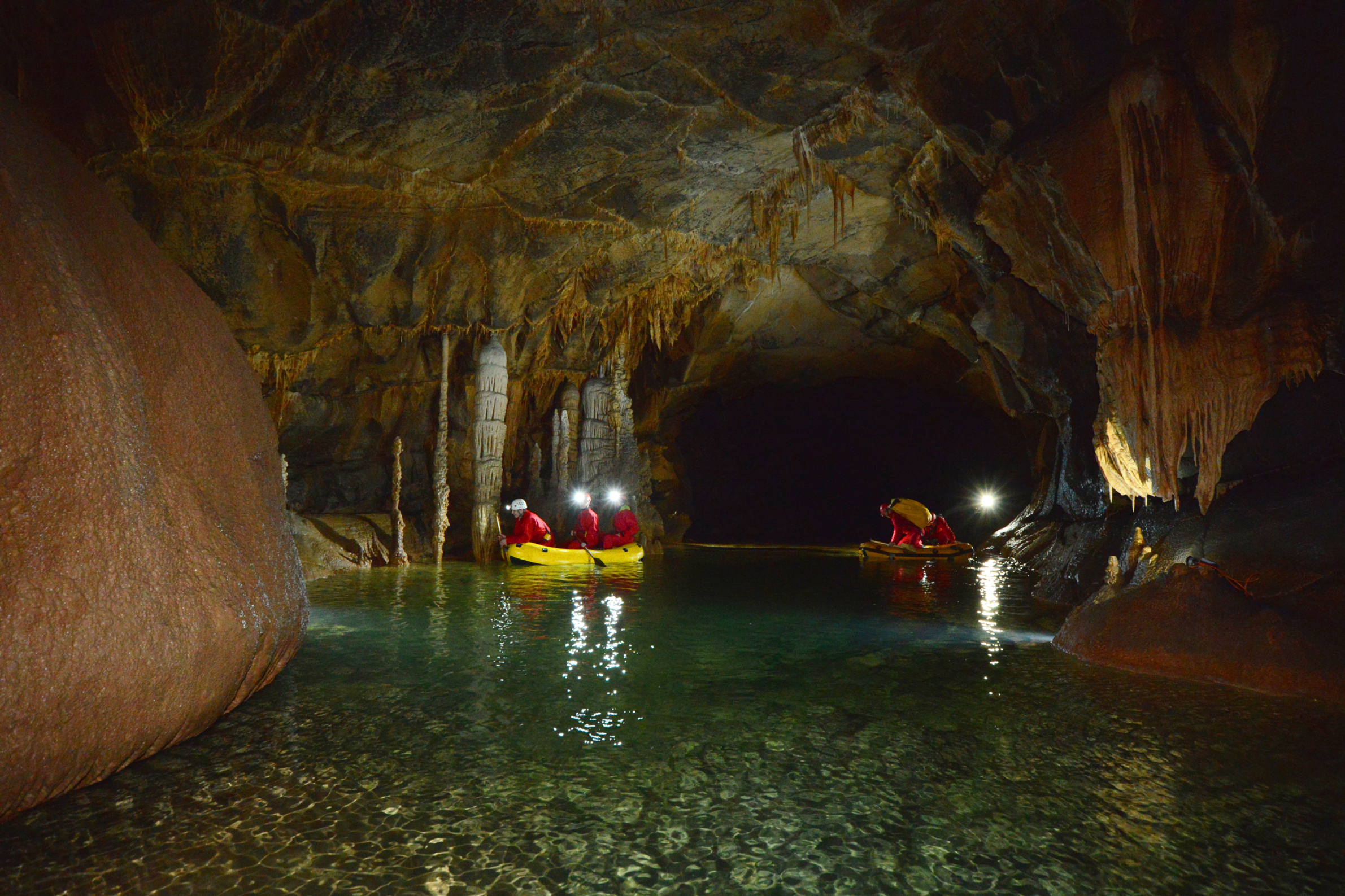 Diversity 13 00210 g001