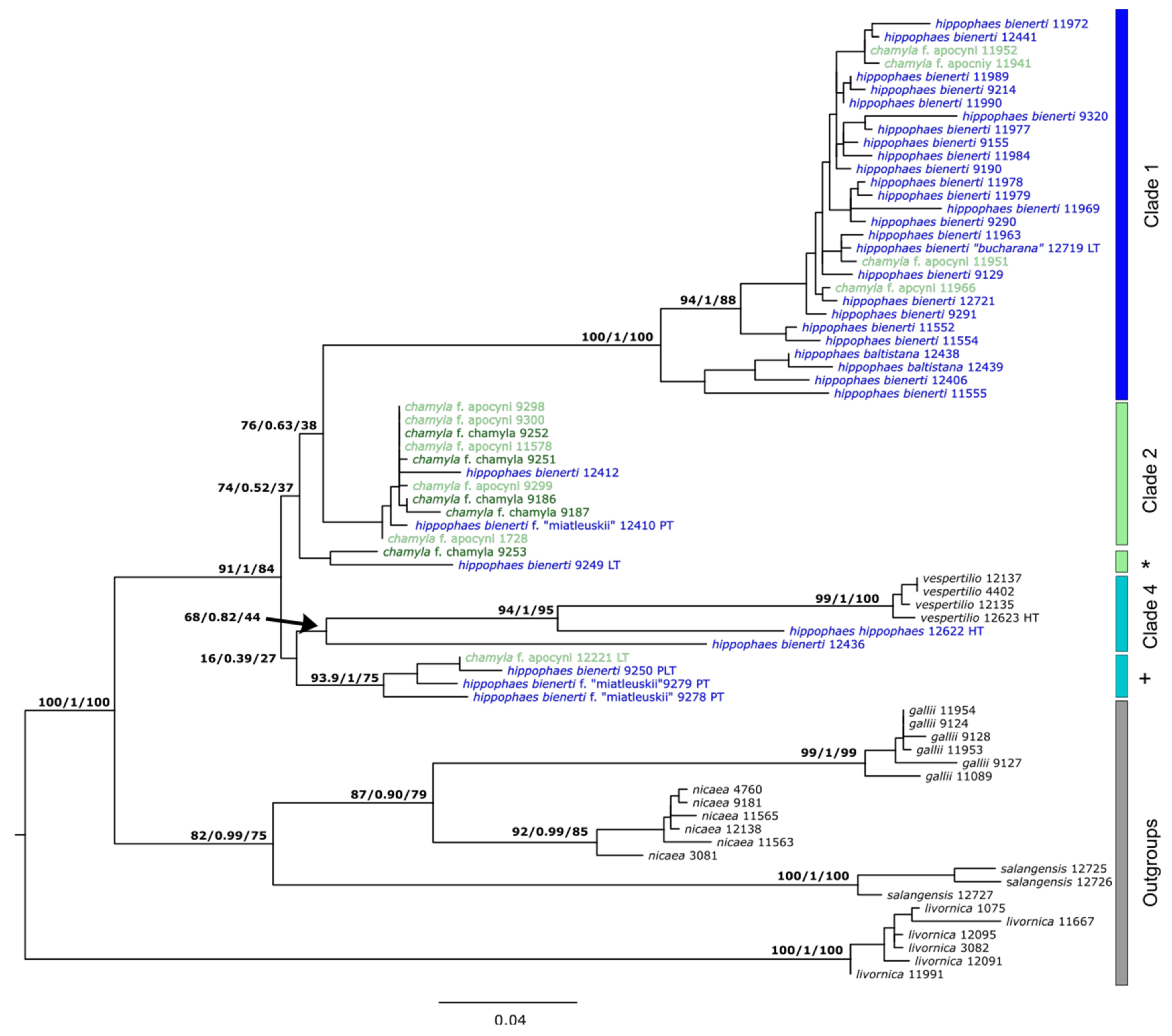 Diversity 13 00213 g006