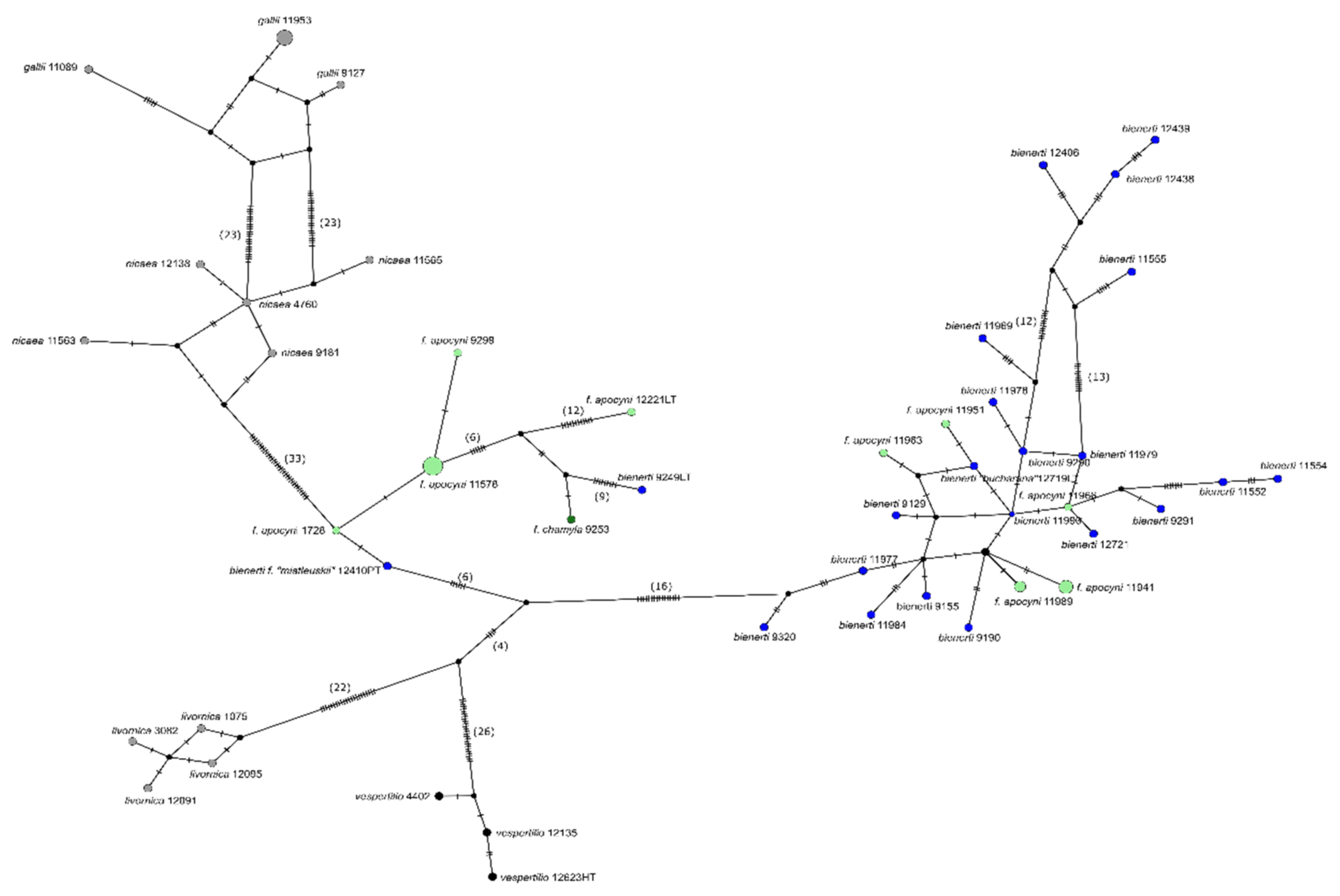Diversity 13 00213 g008