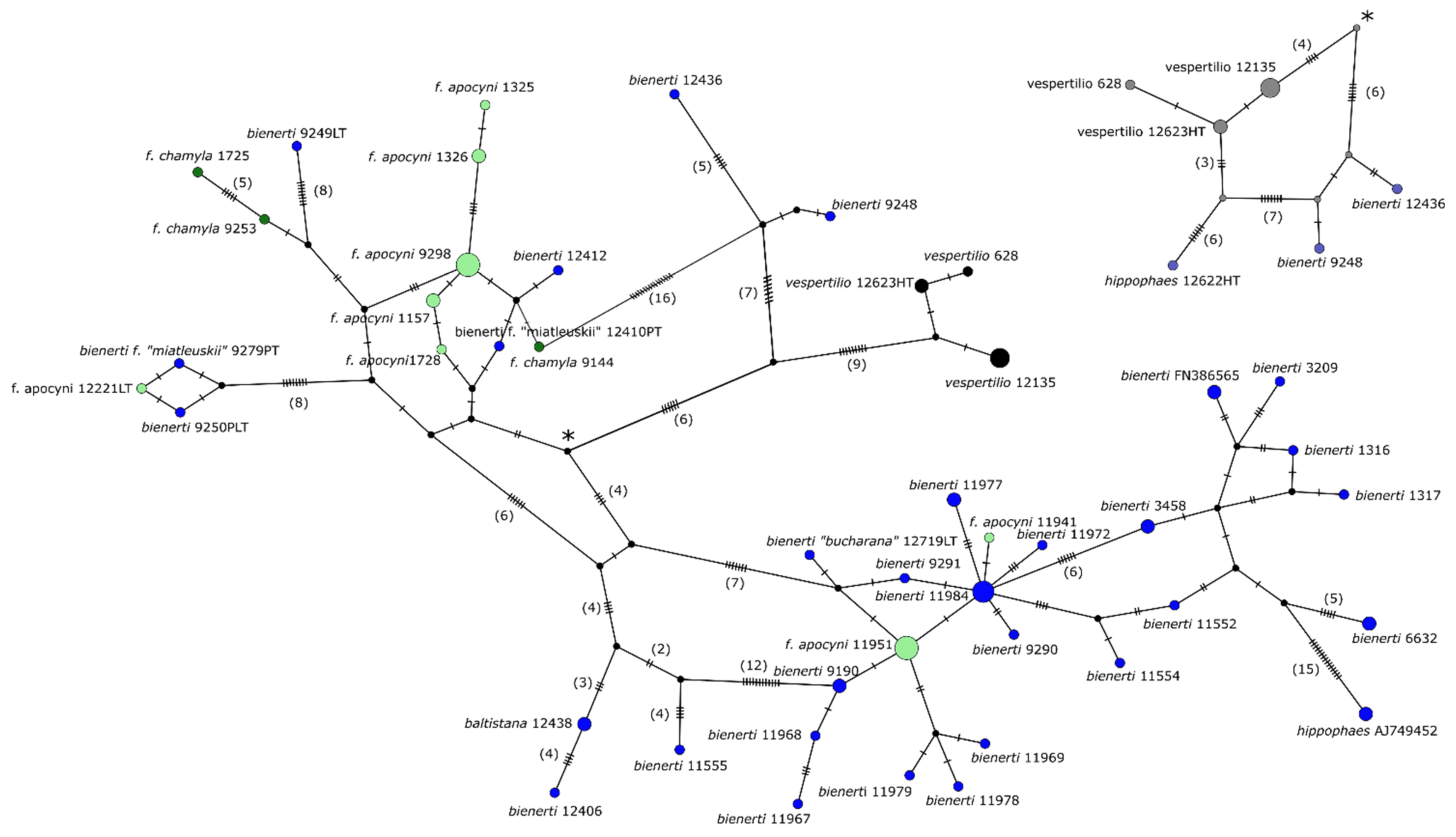 Diversity 13 00213 g009