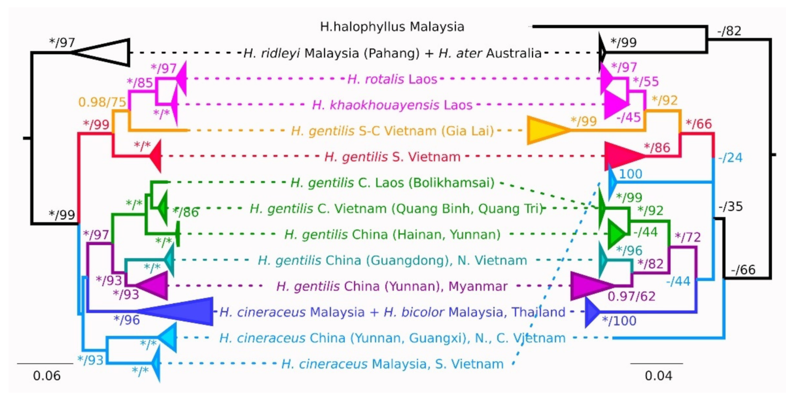 Diversity 13 00218 g002