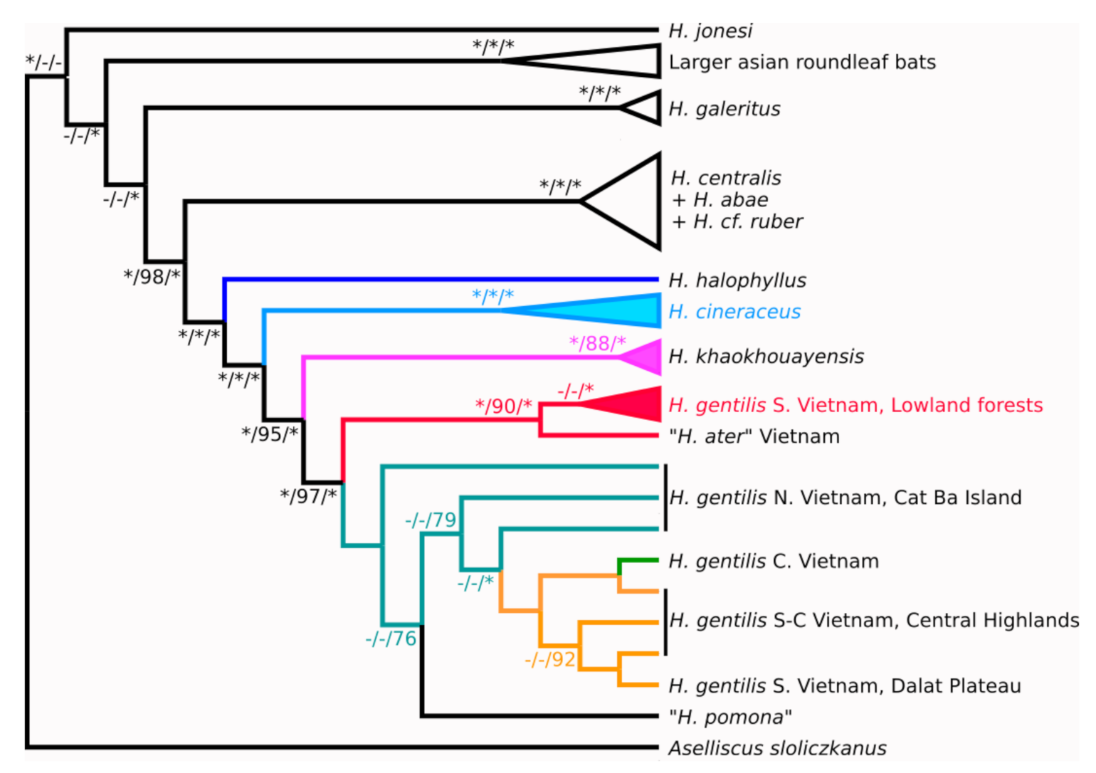 Diversity 13 00218 g003