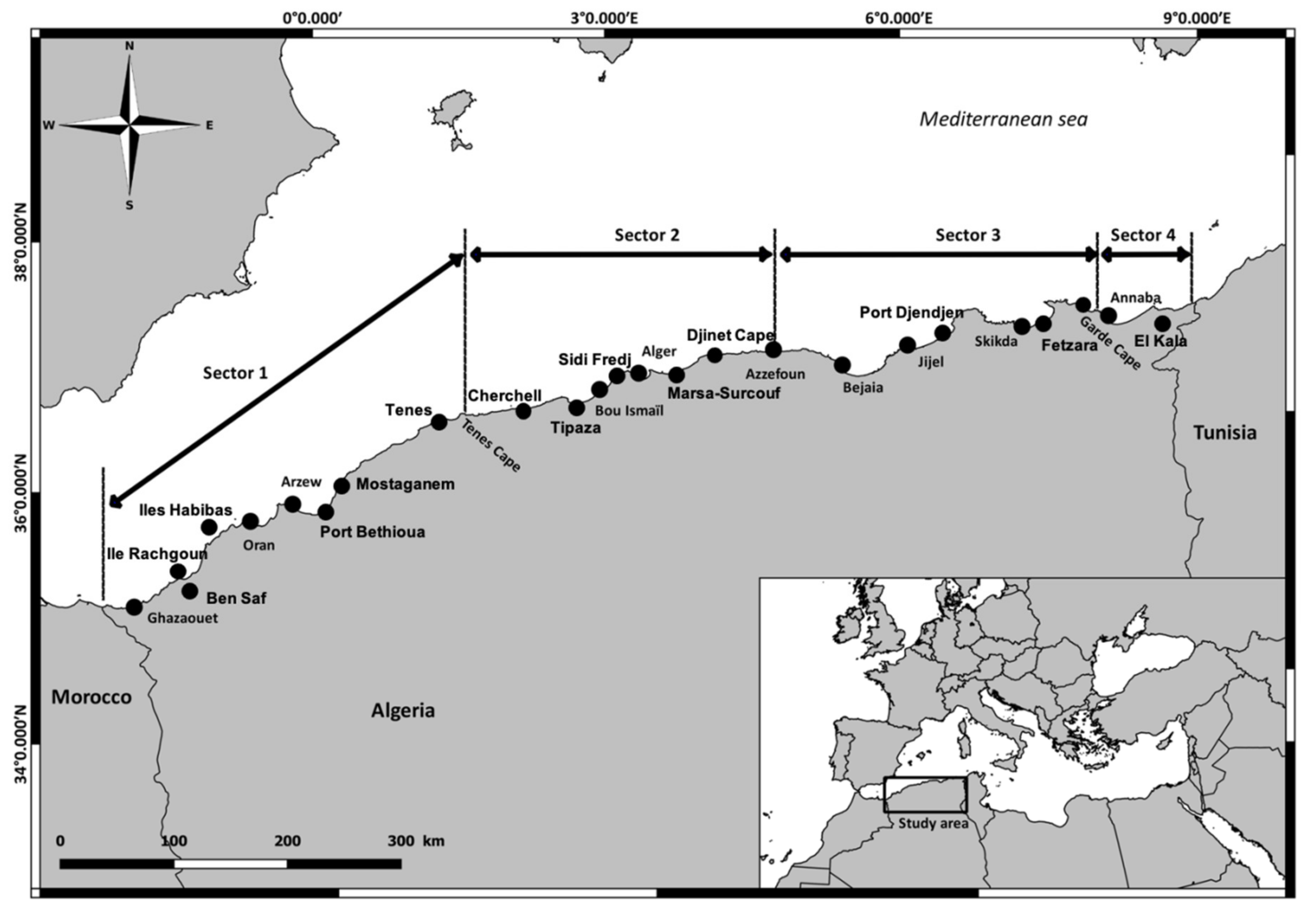 Diversity 13 00221 g001