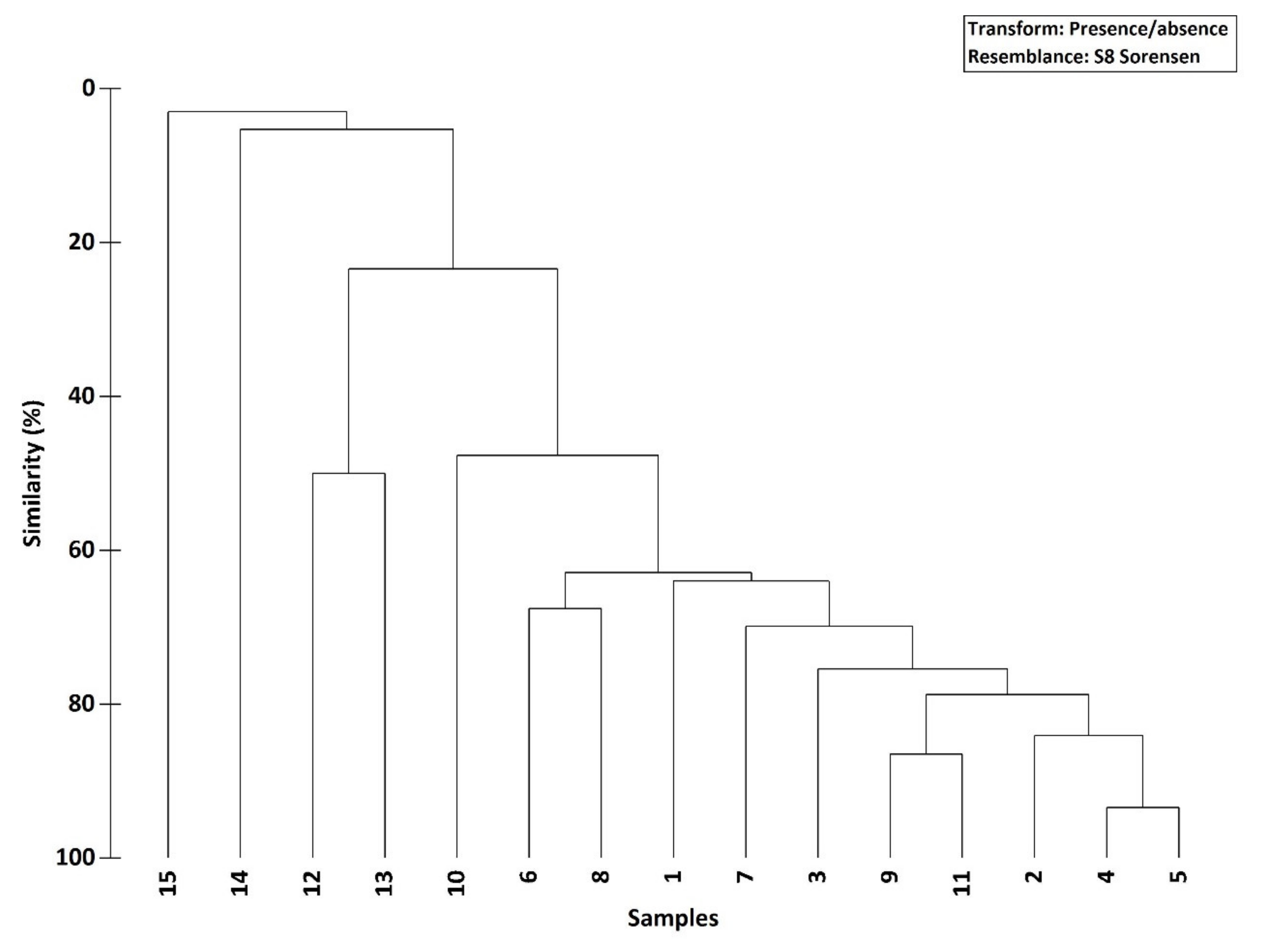 Diversity 13 00221 g004