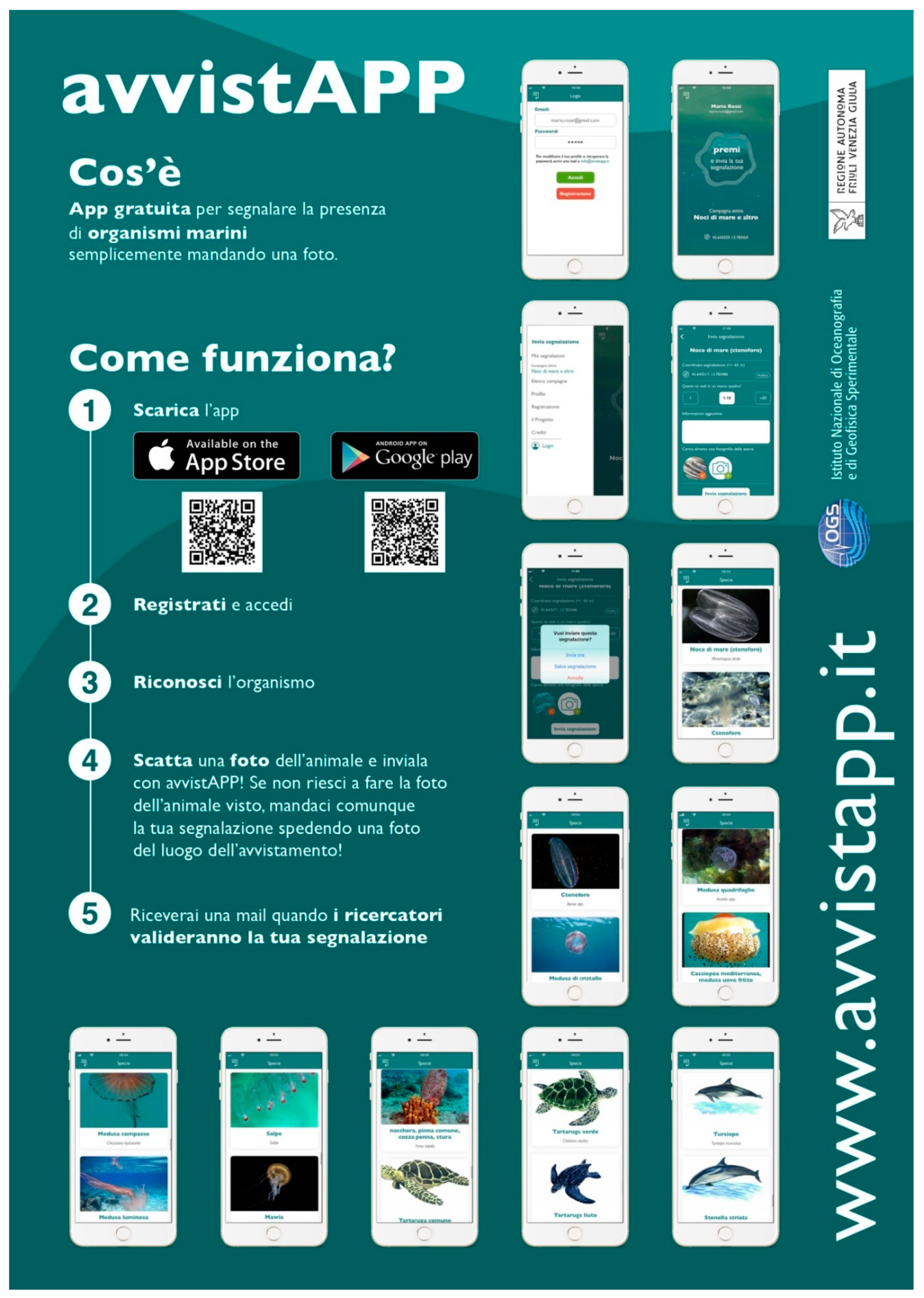 Diversity 13 00224 g001 Diversity 13 00224 g001