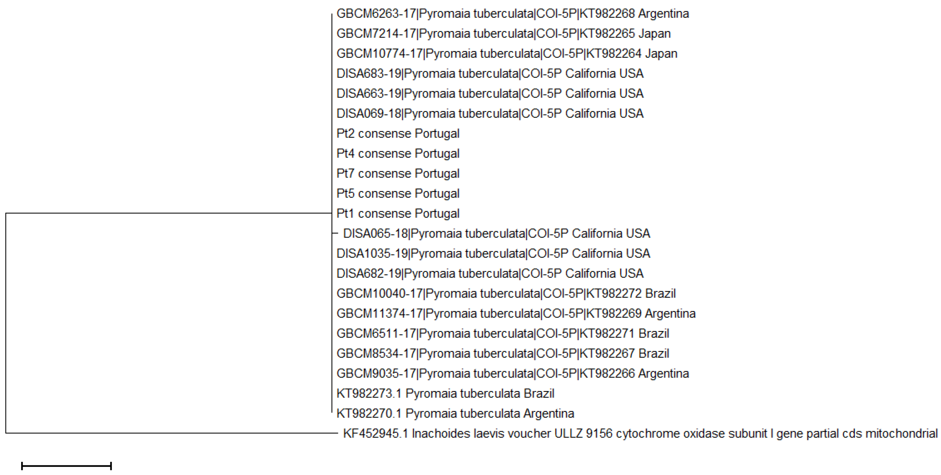 Diversity 13 00225 g003