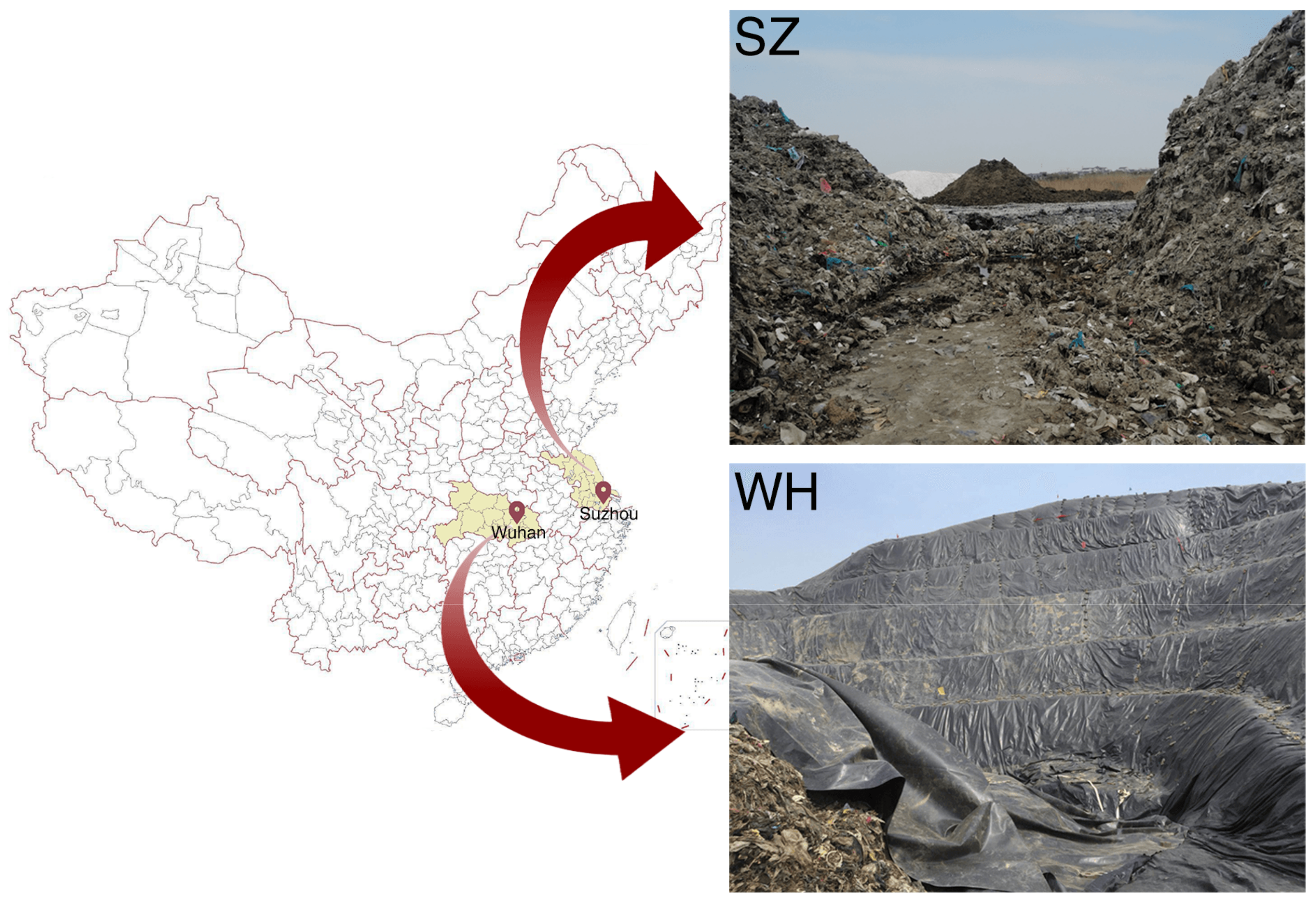 Diversity 13 00230 g001