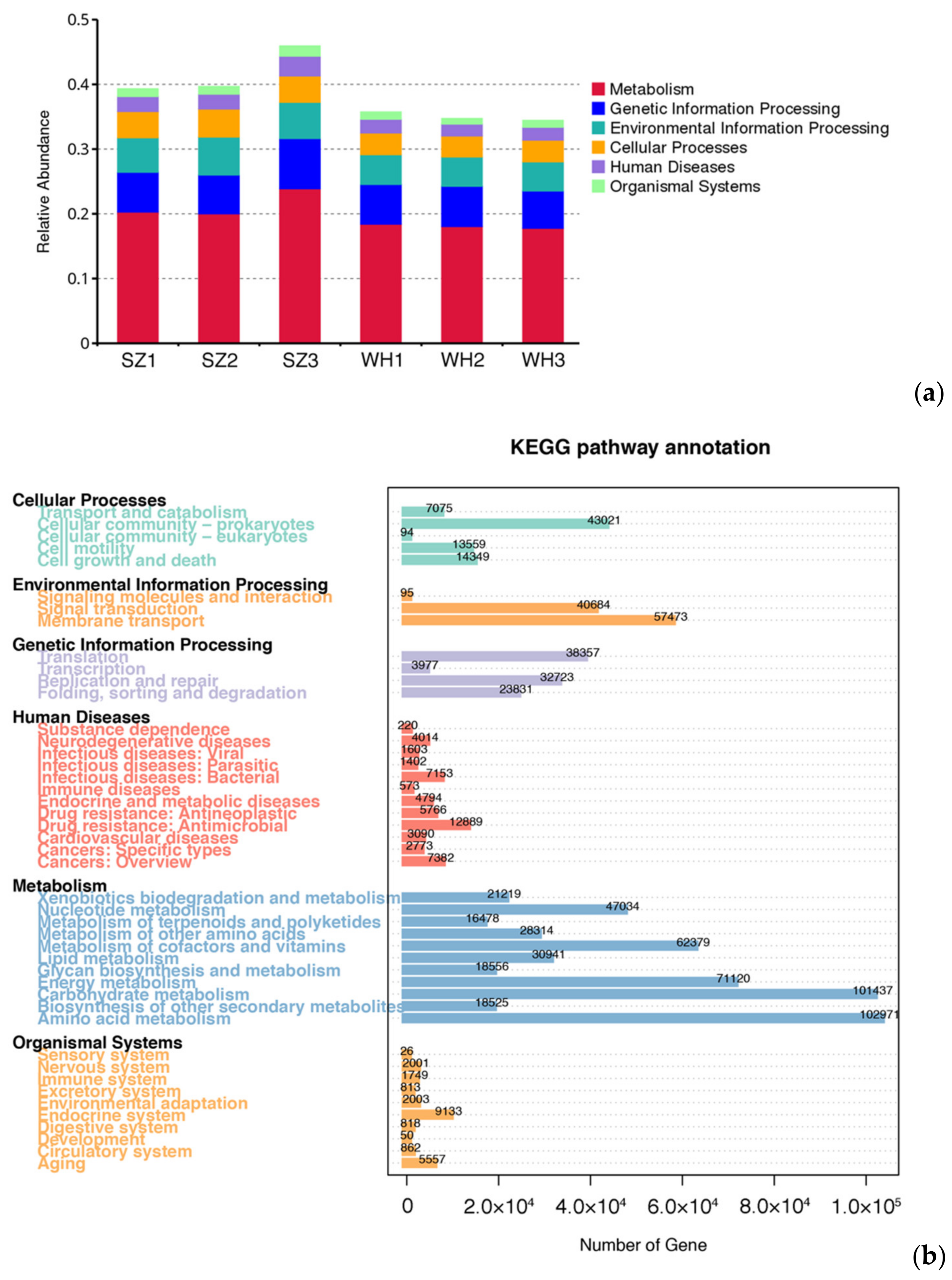 Diversity 13 00230 g004