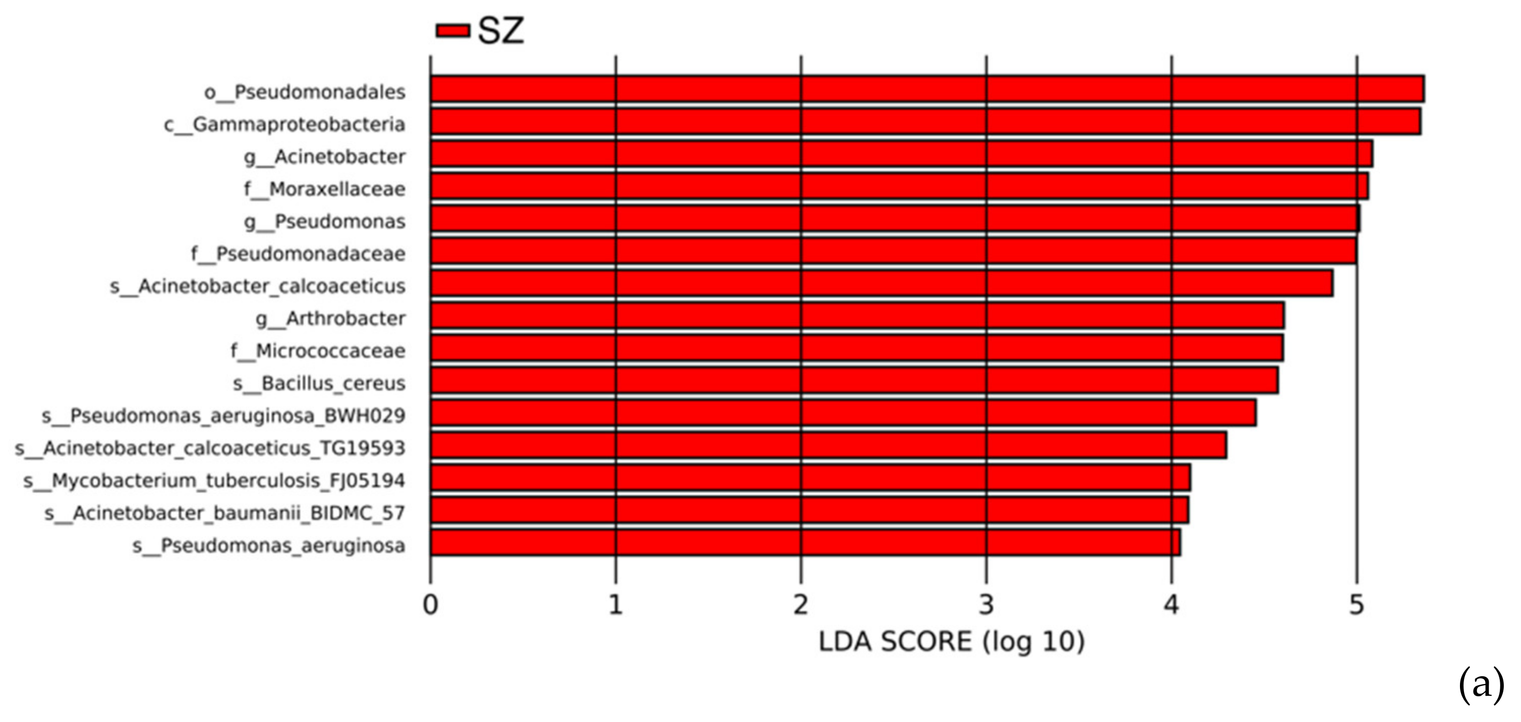 Diversity 13 00230 g008a