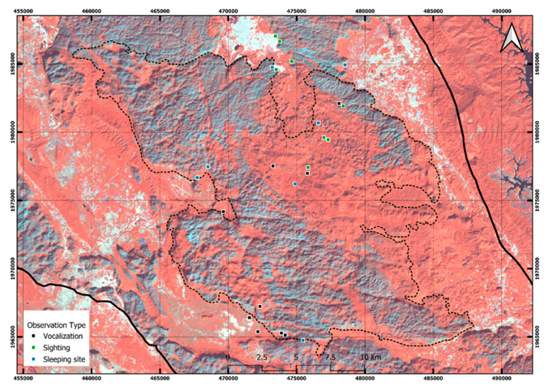 Diversity 13 00231 g003