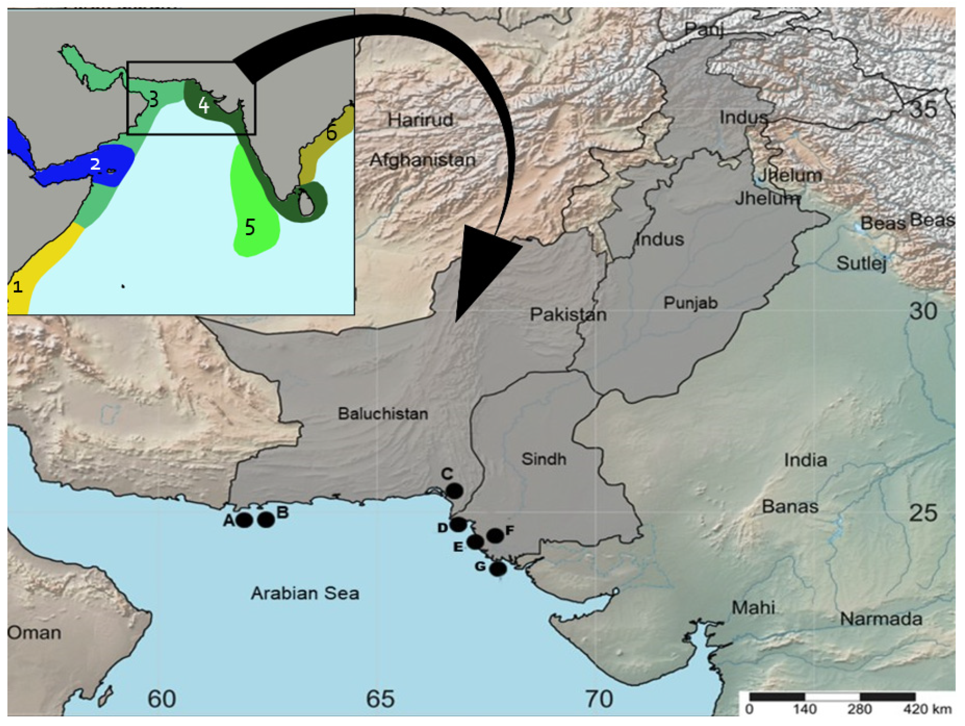 Diversity 13 00232 g001