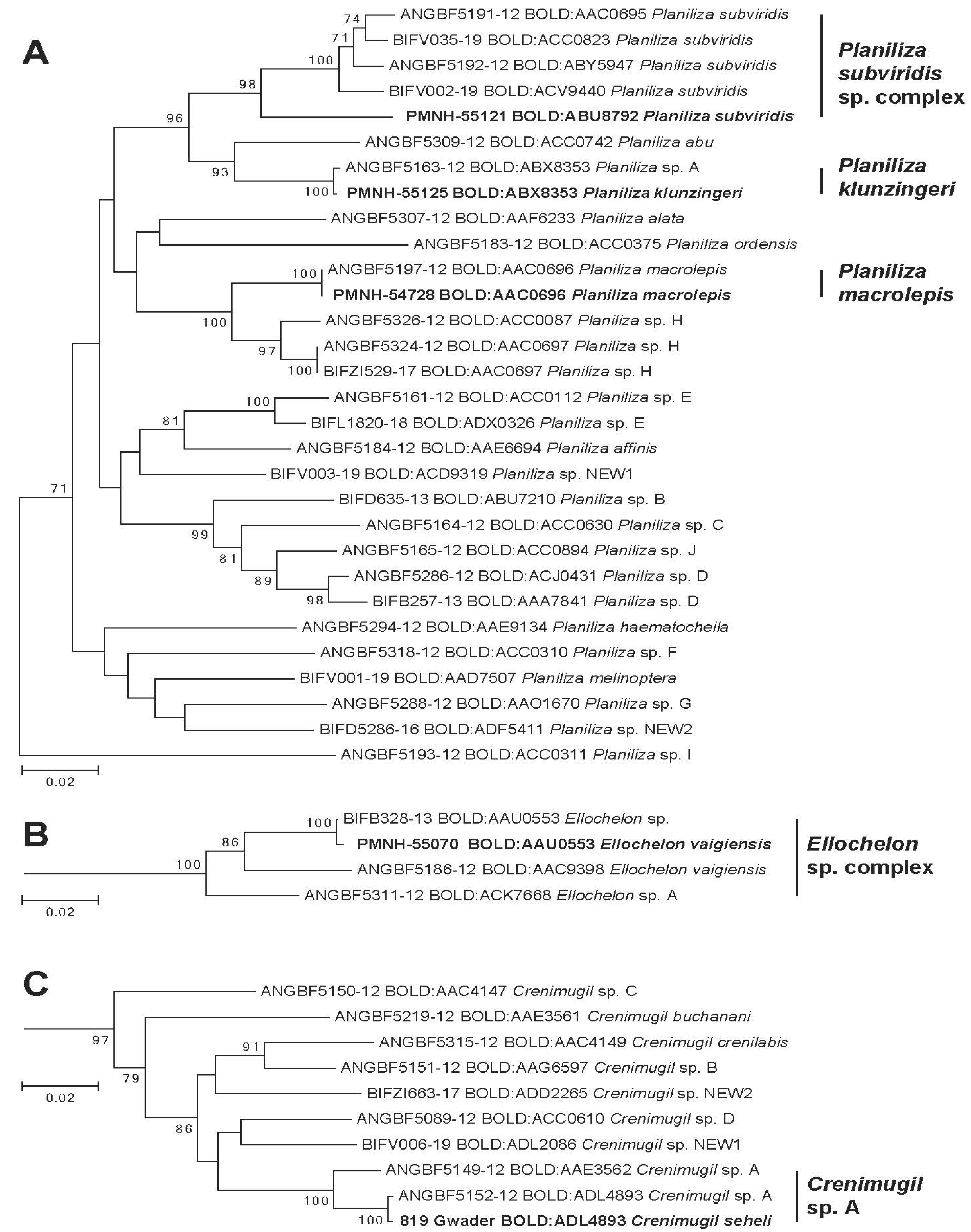 Diversity 13 00232 g003