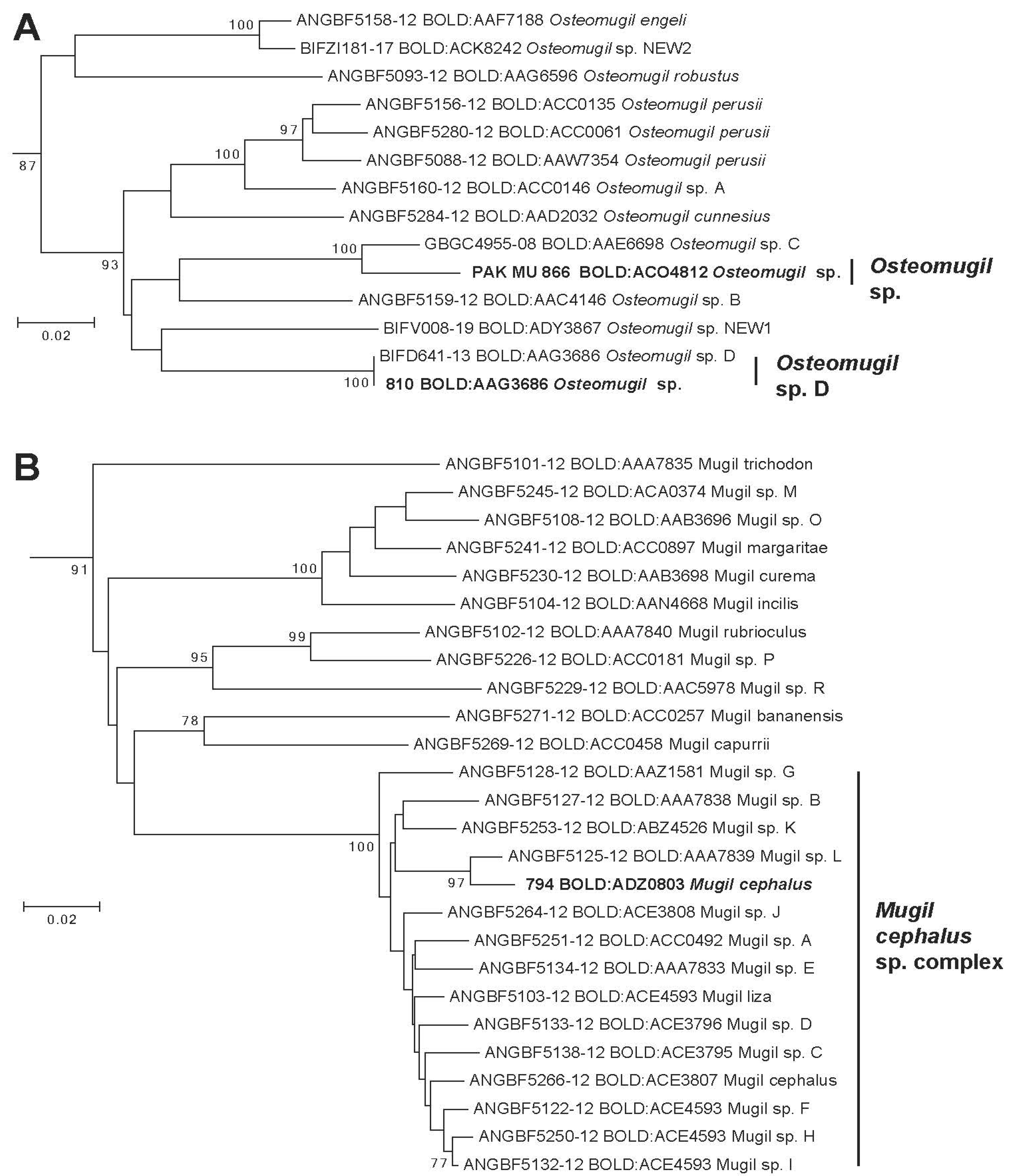Diversity 13 00232 g004