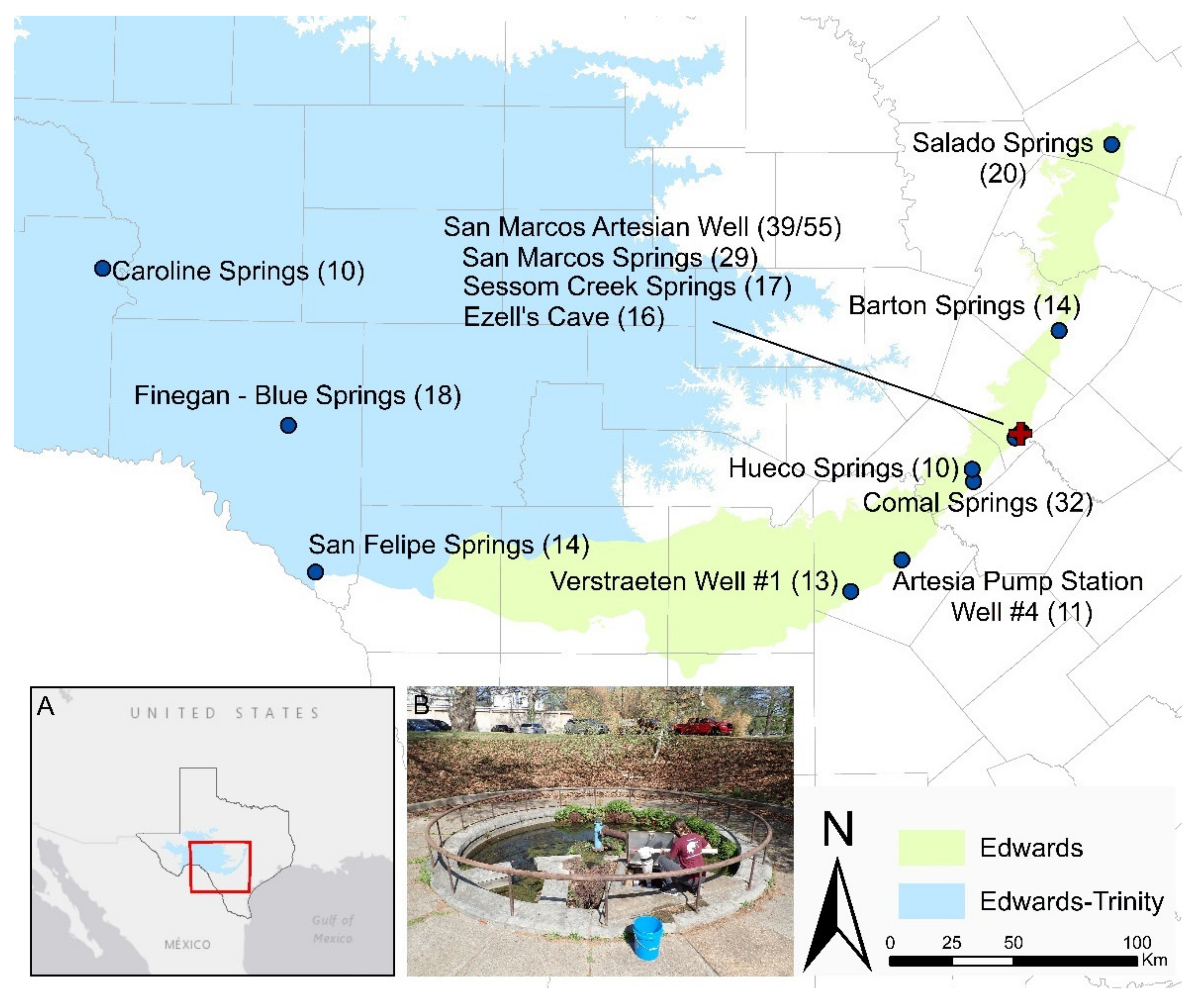 Diversity 13 00234 g001
