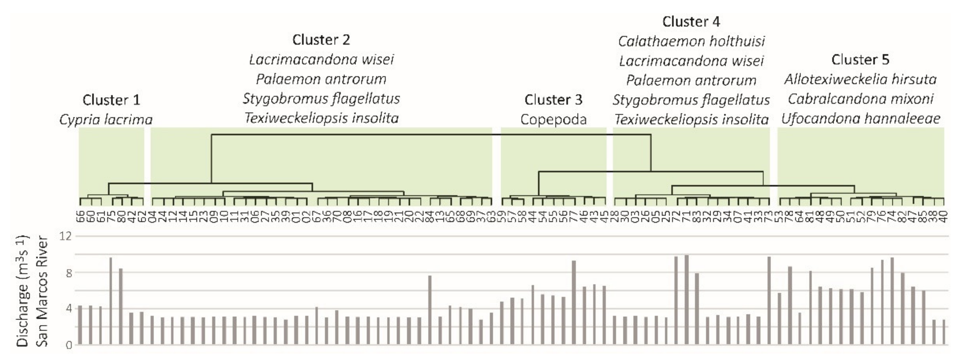 Diversity 13 00234 g004