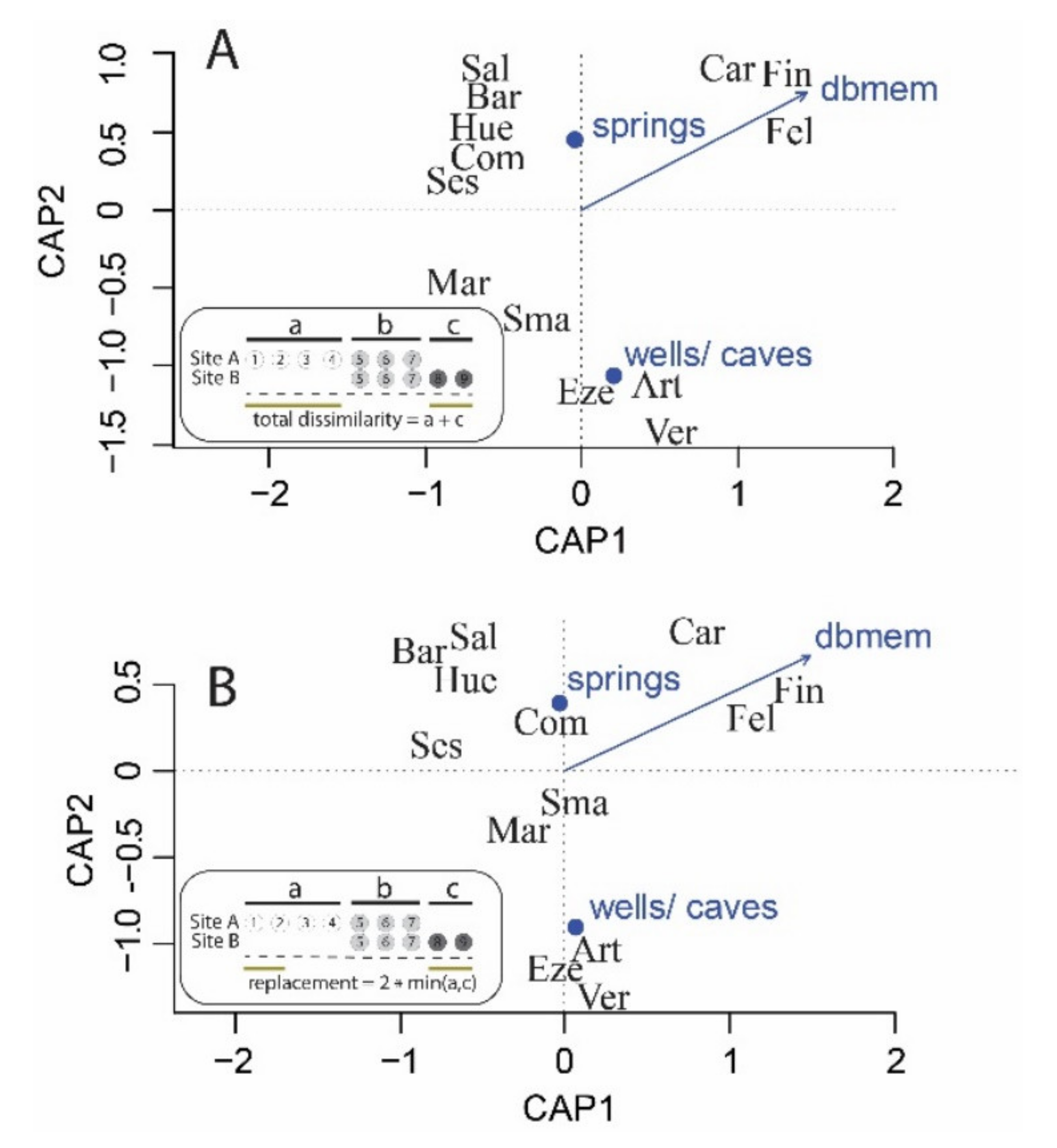 Diversity 13 00234 g006