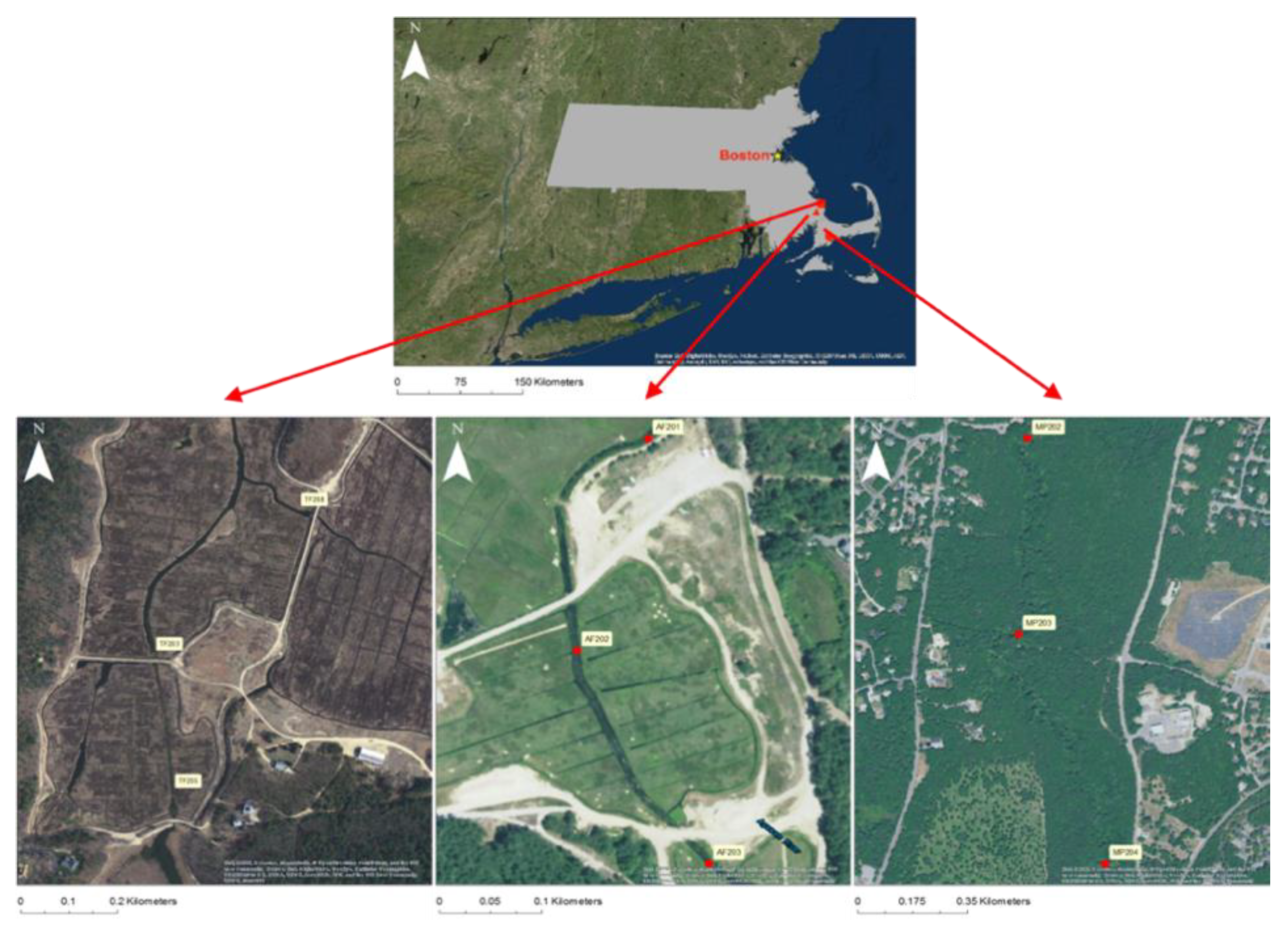 Diversity 13 00235 g001