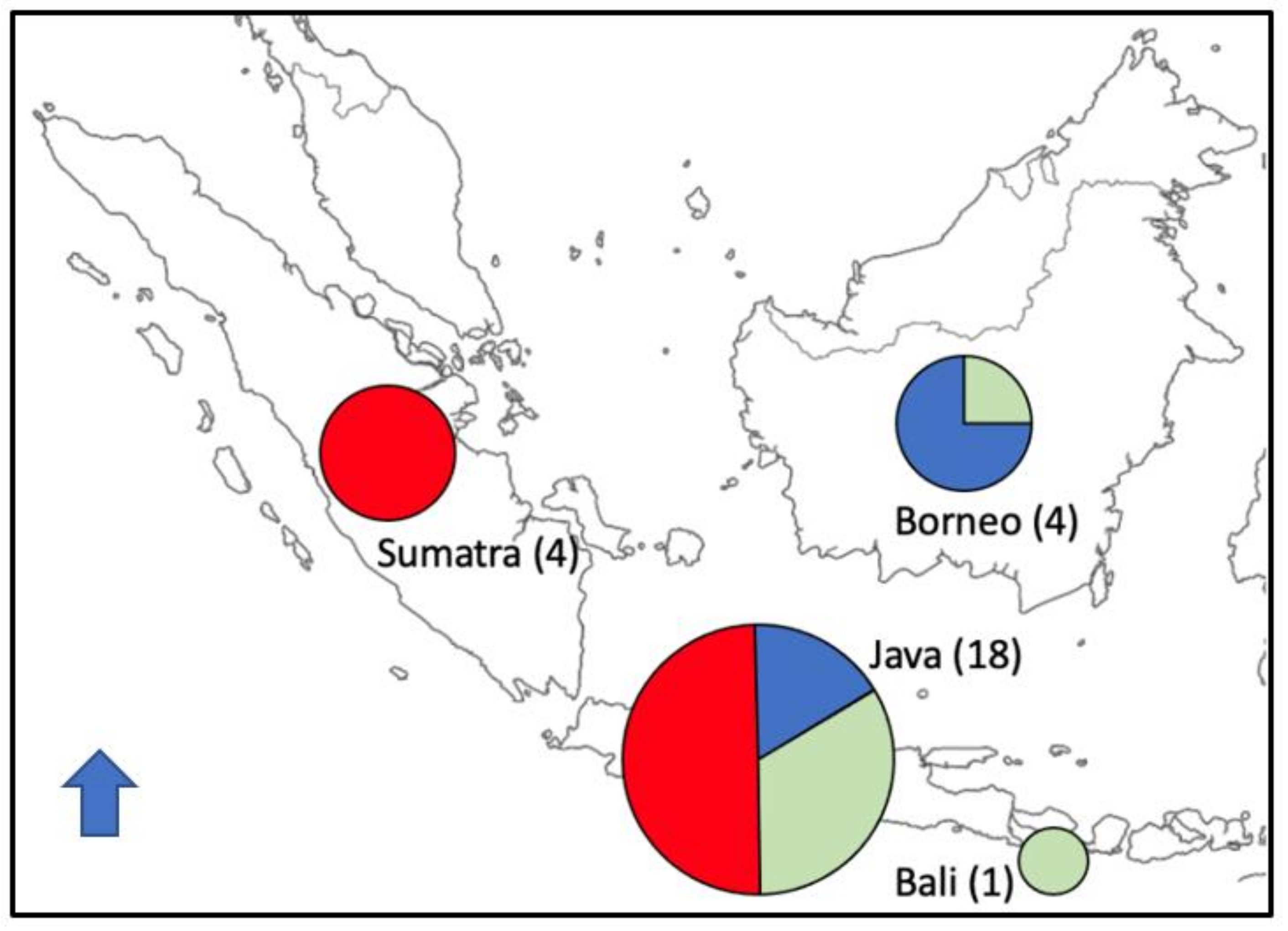 Diversity 13 00236 g003
