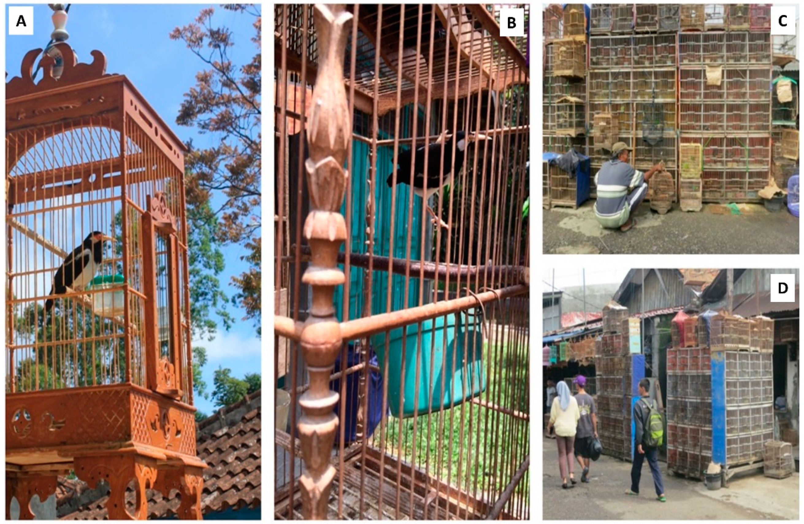 Diversity 13 00238 g001 Diversity 13 00238 g001