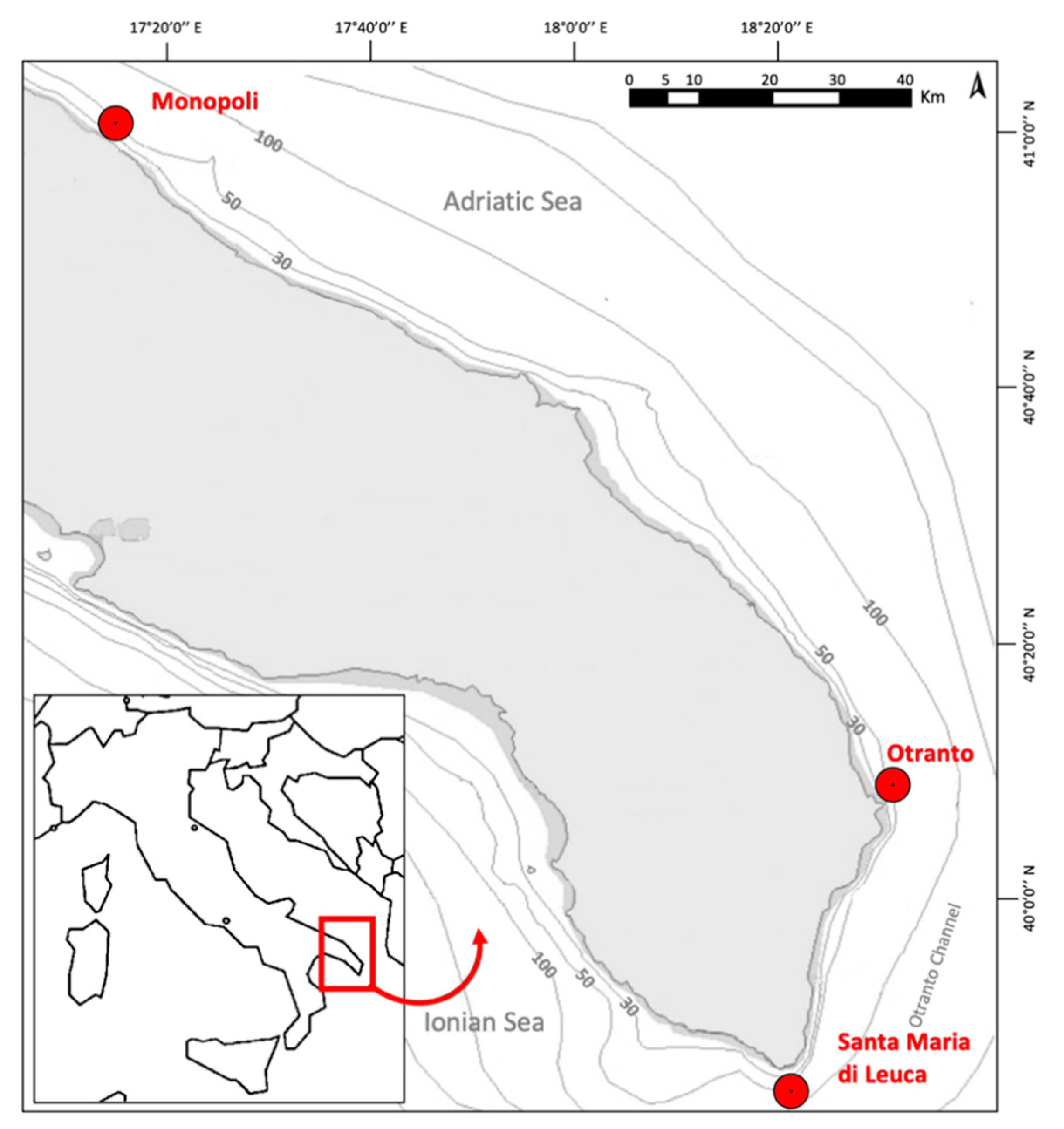 Diversity 13 00239 g001