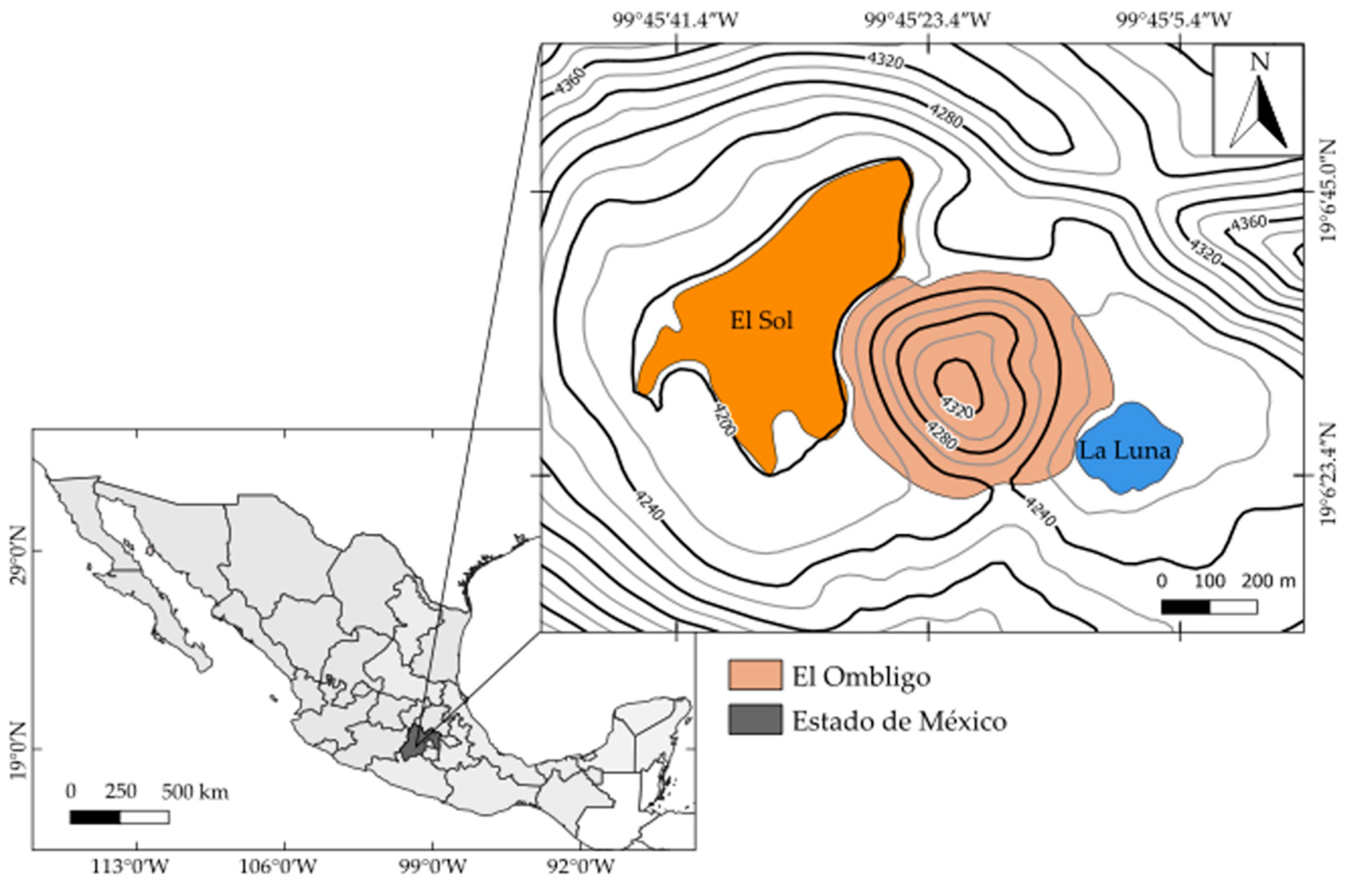 Diversity 13 00243 g001 Diversity 13 00243 g001