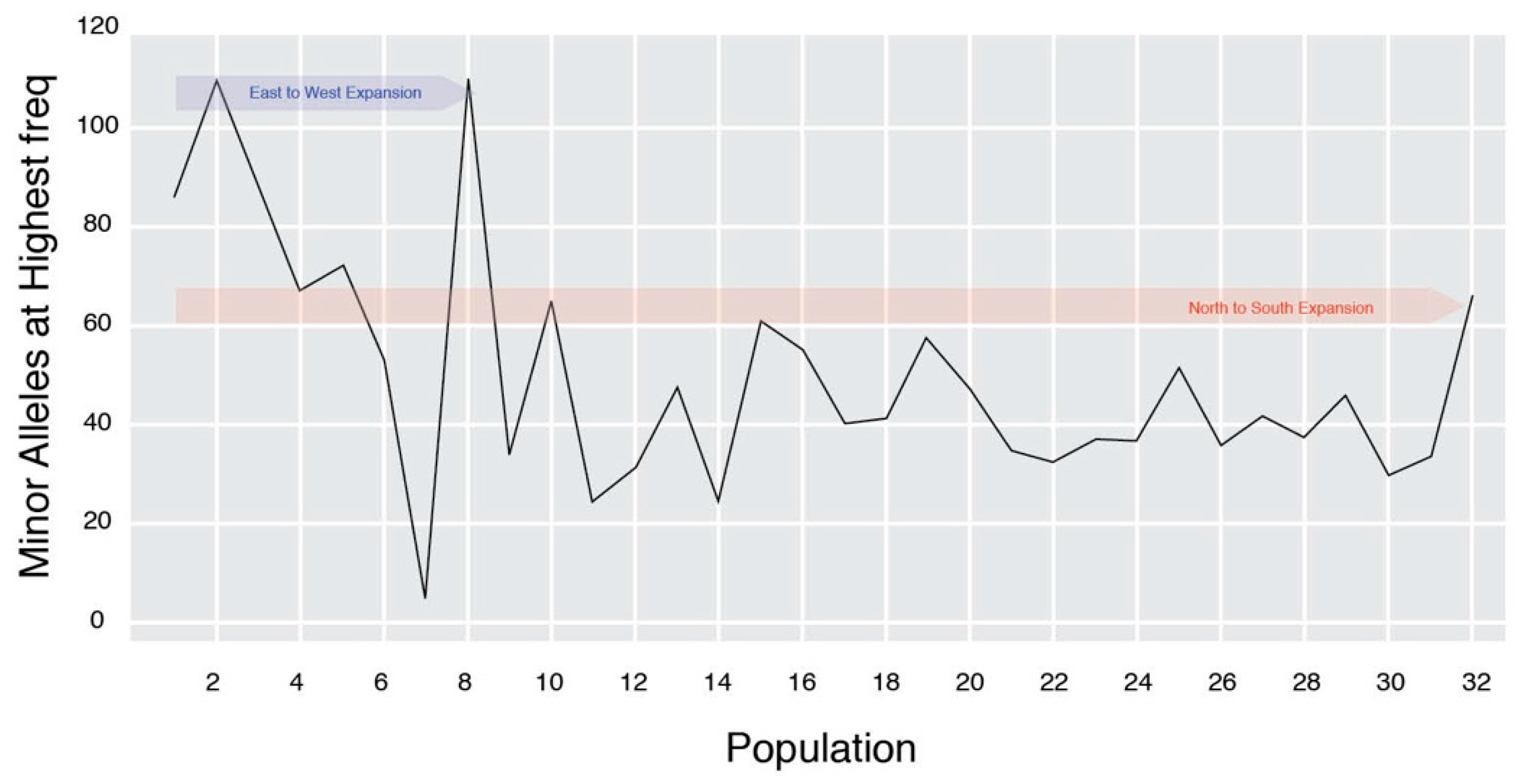 Diversity 13 00250 g006