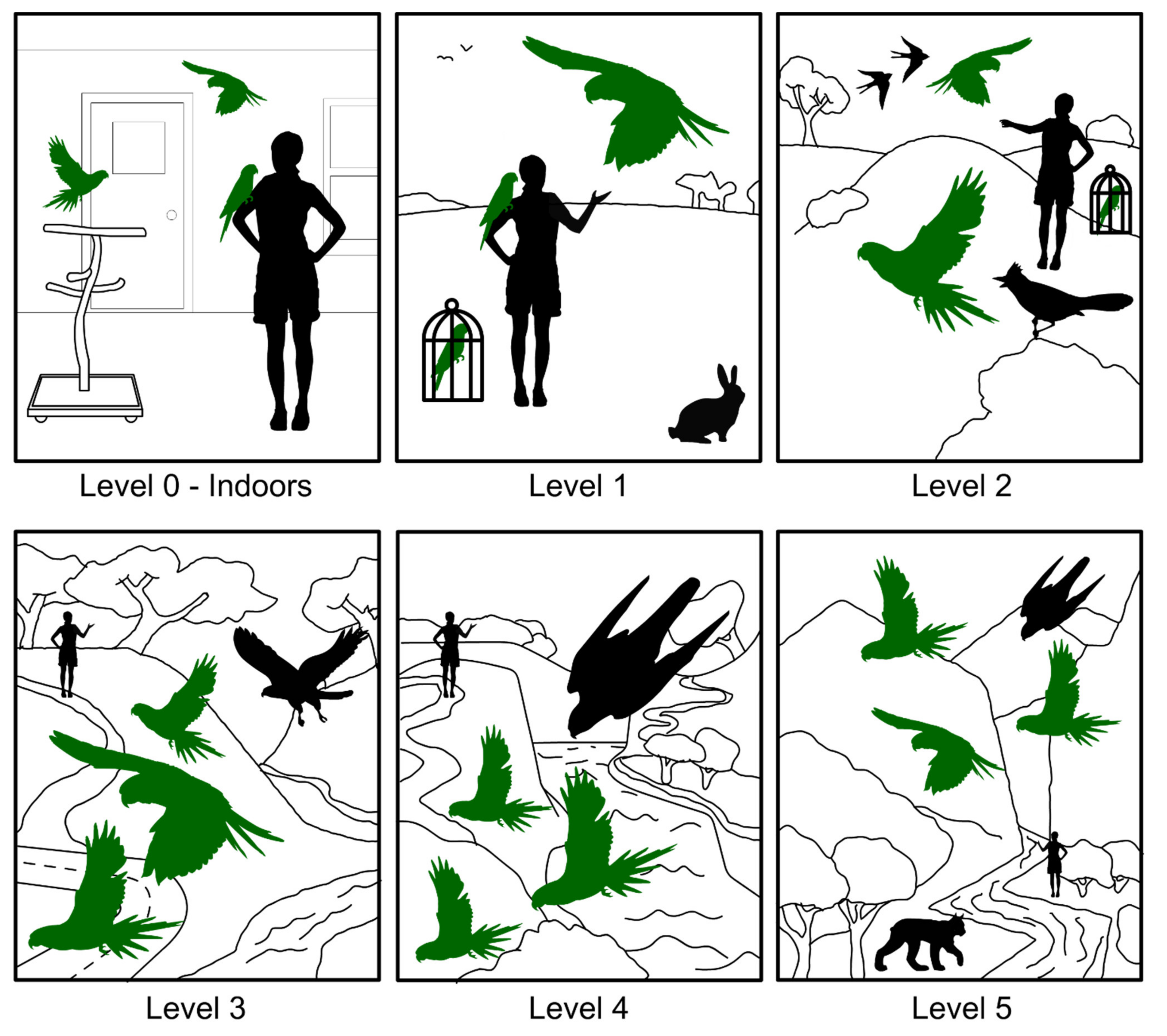 Diversity 13 00254 g001