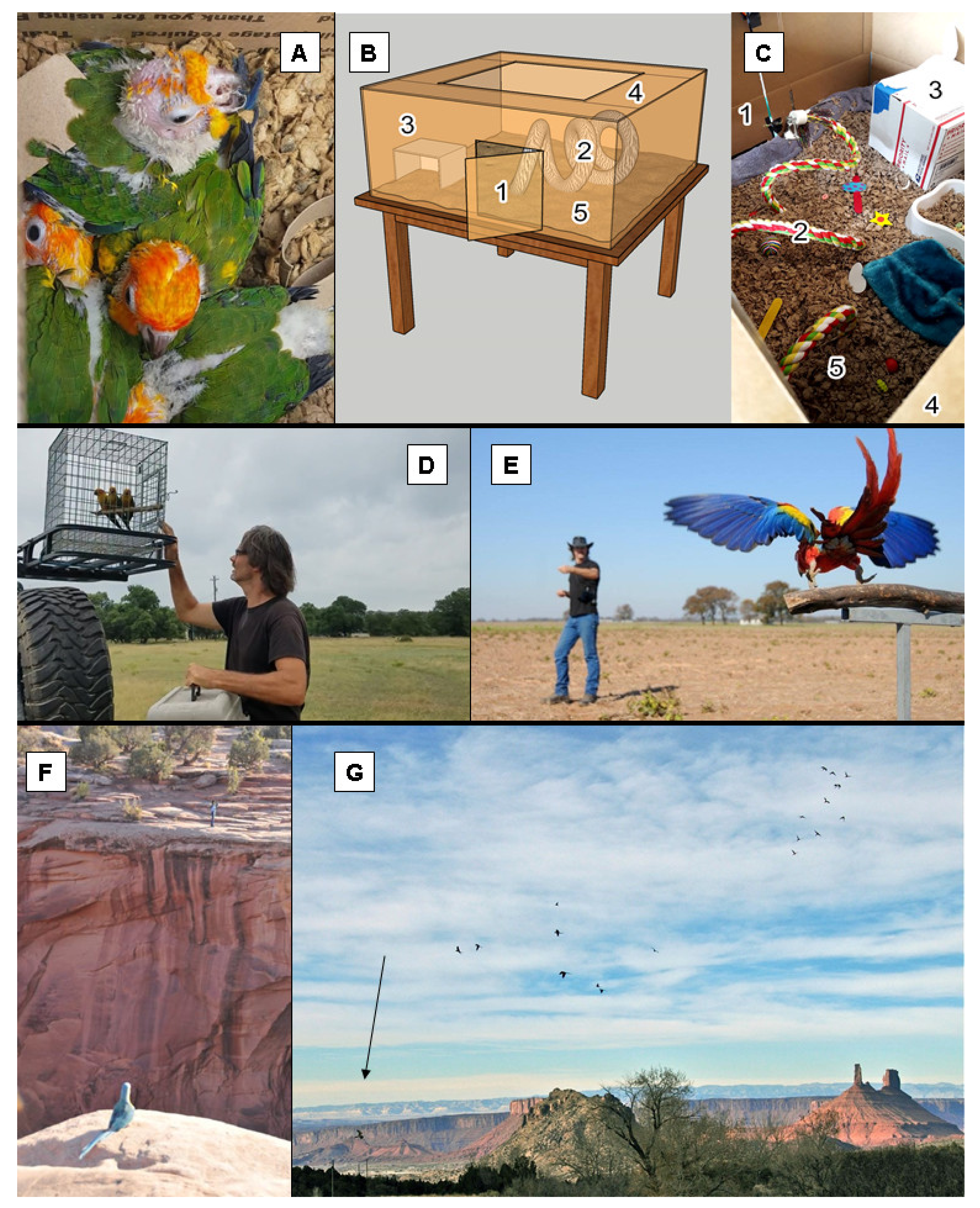 Diversity 13 00254 g002