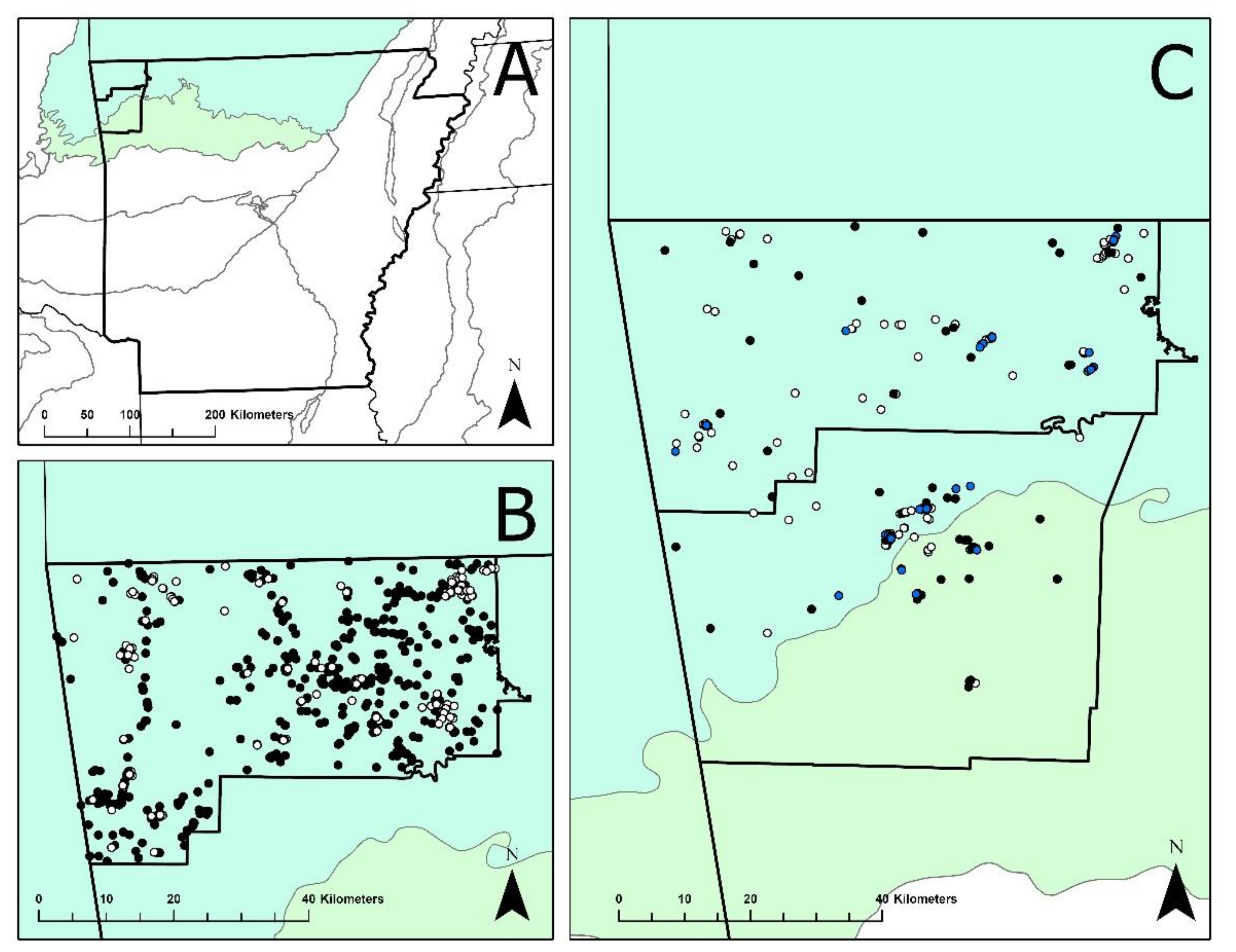 Diversity 13 00255 g001