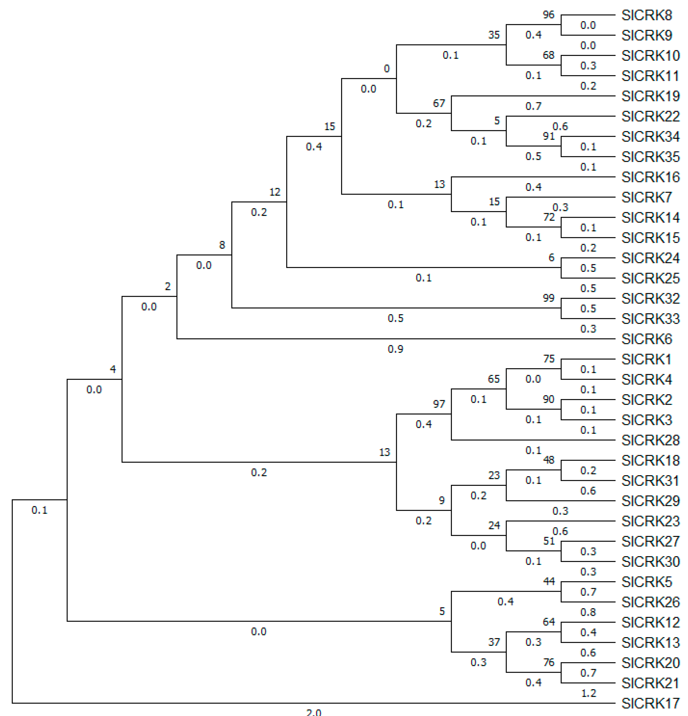Diversity 13 00258 g001