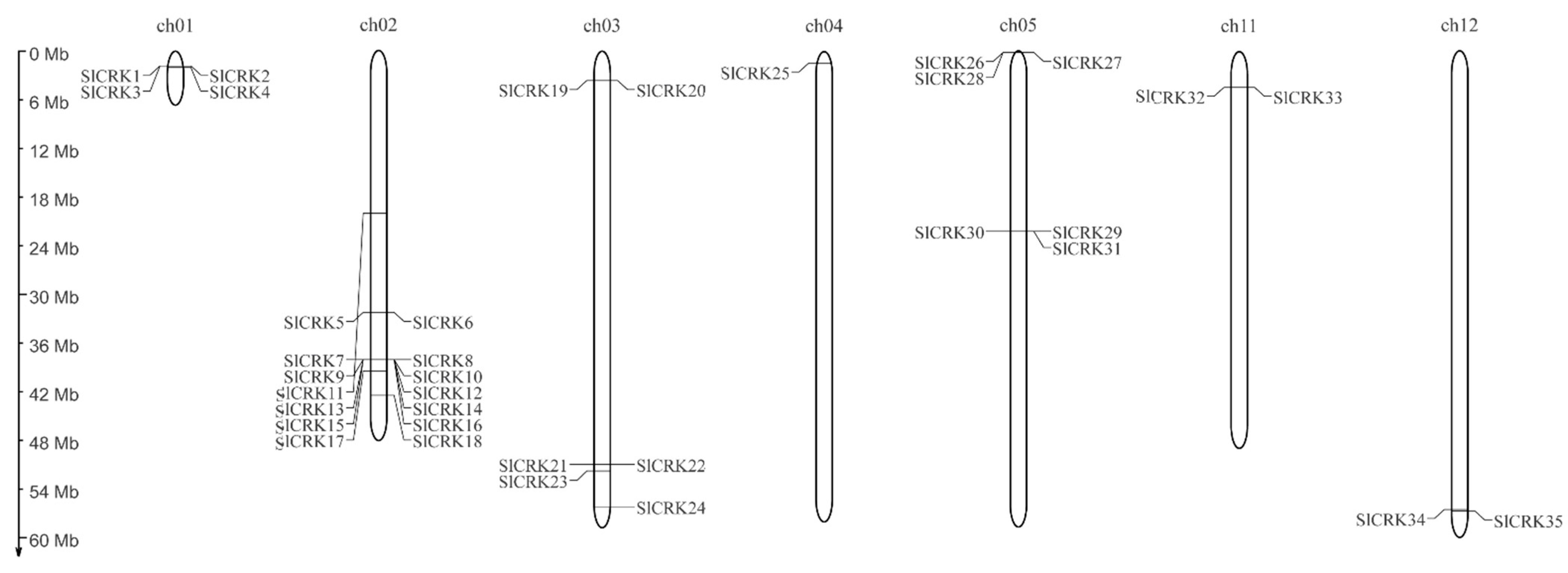 Diversity 13 00258 g002
