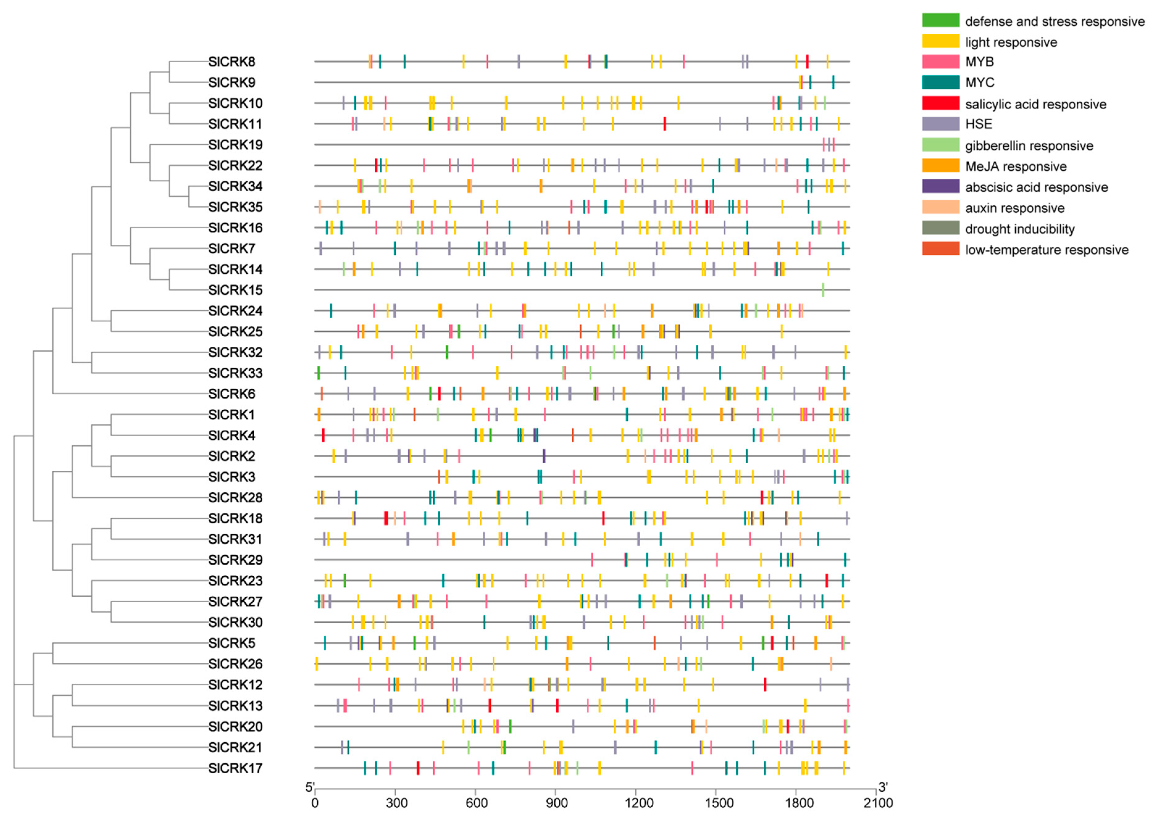 Diversity 13 00258 g003