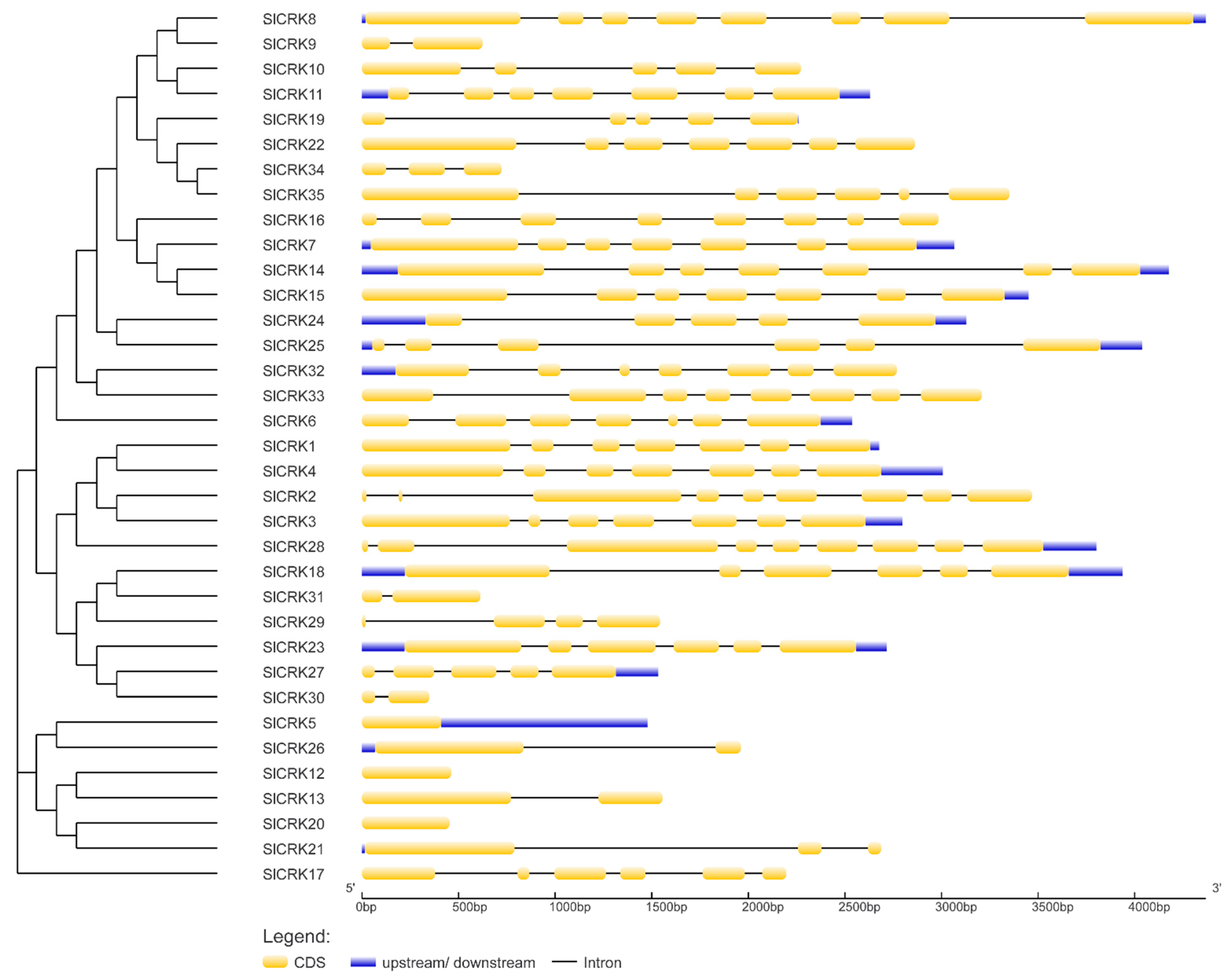 Diversity 13 00258 g004