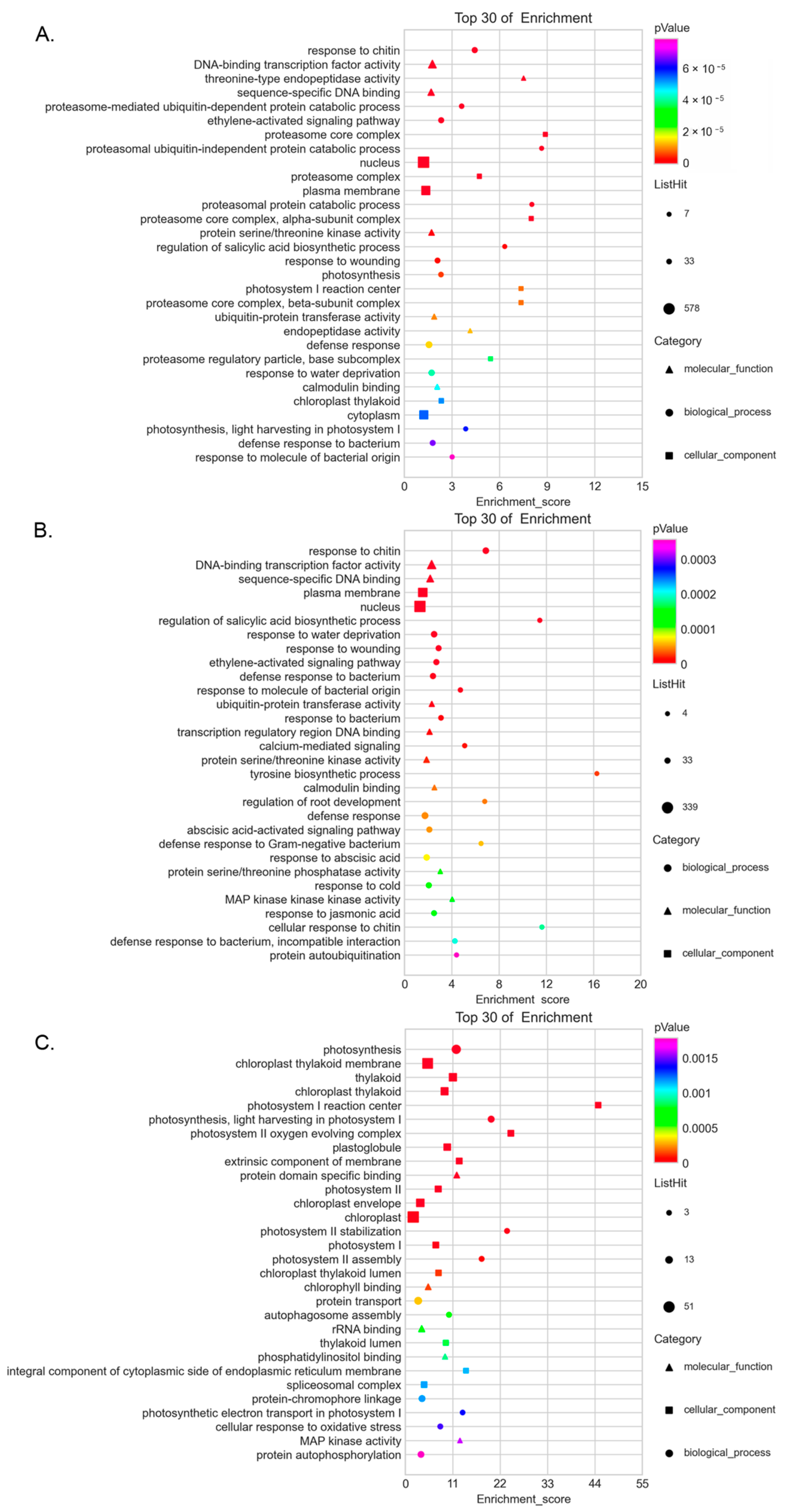 Diversity 13 00258 g007