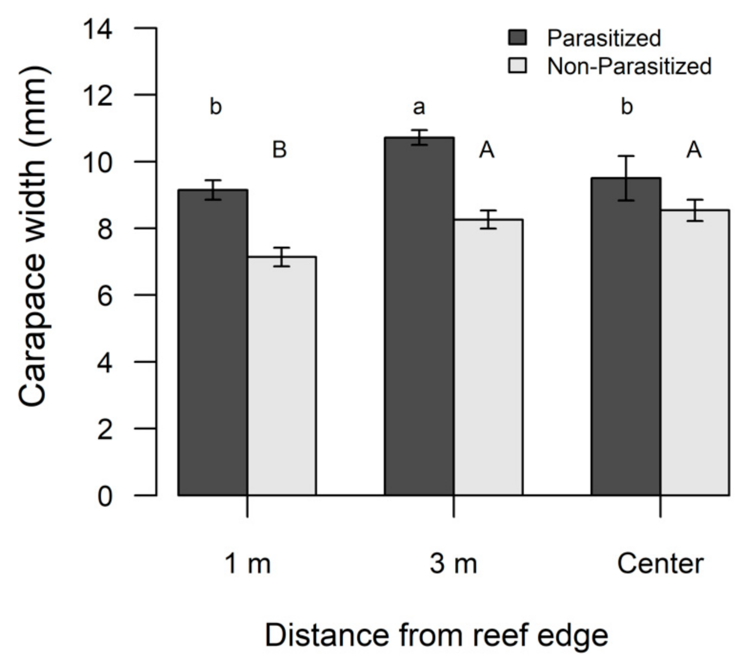 Diversity 13 00260 g005