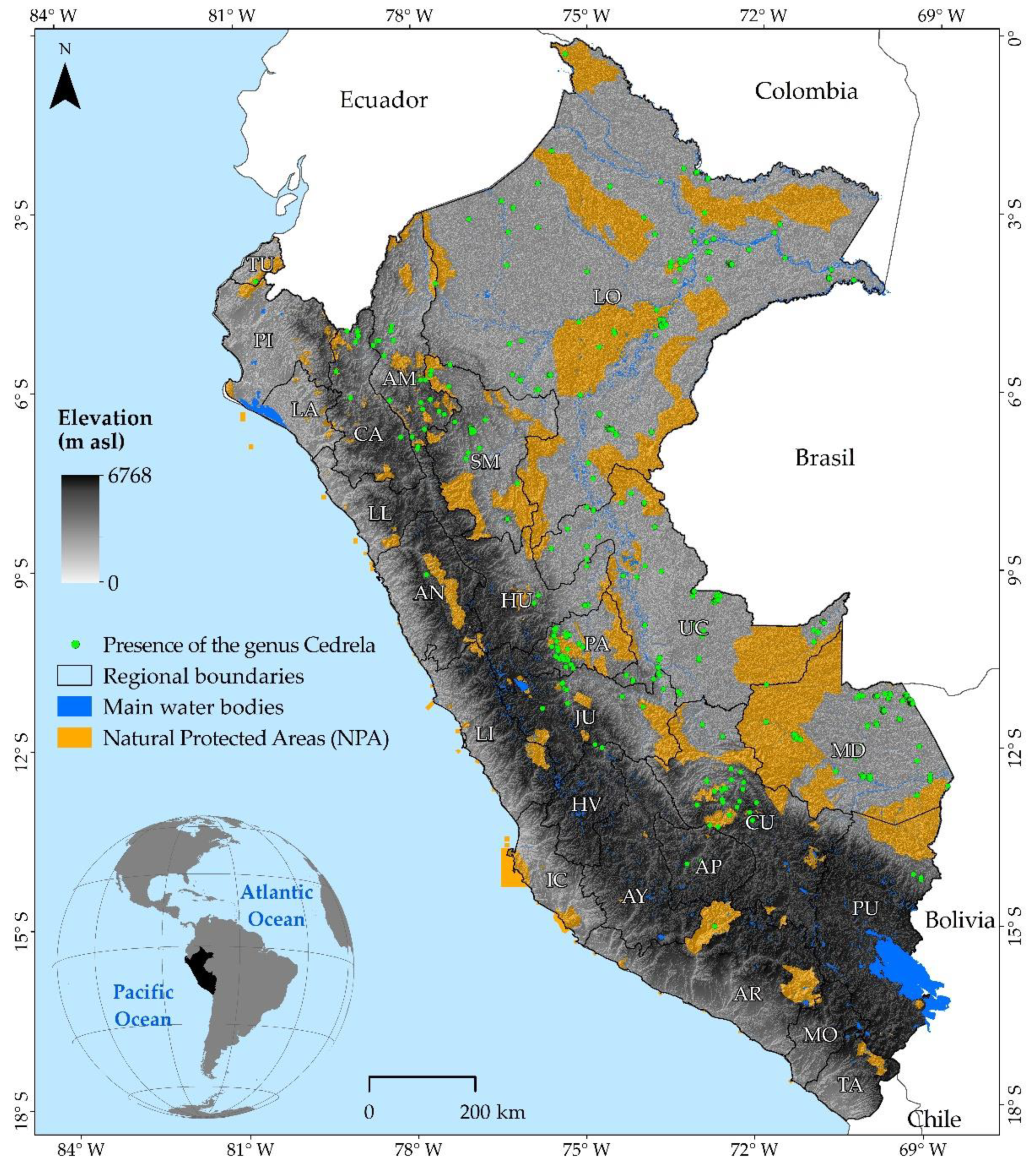 Diversity 13 00261 g001