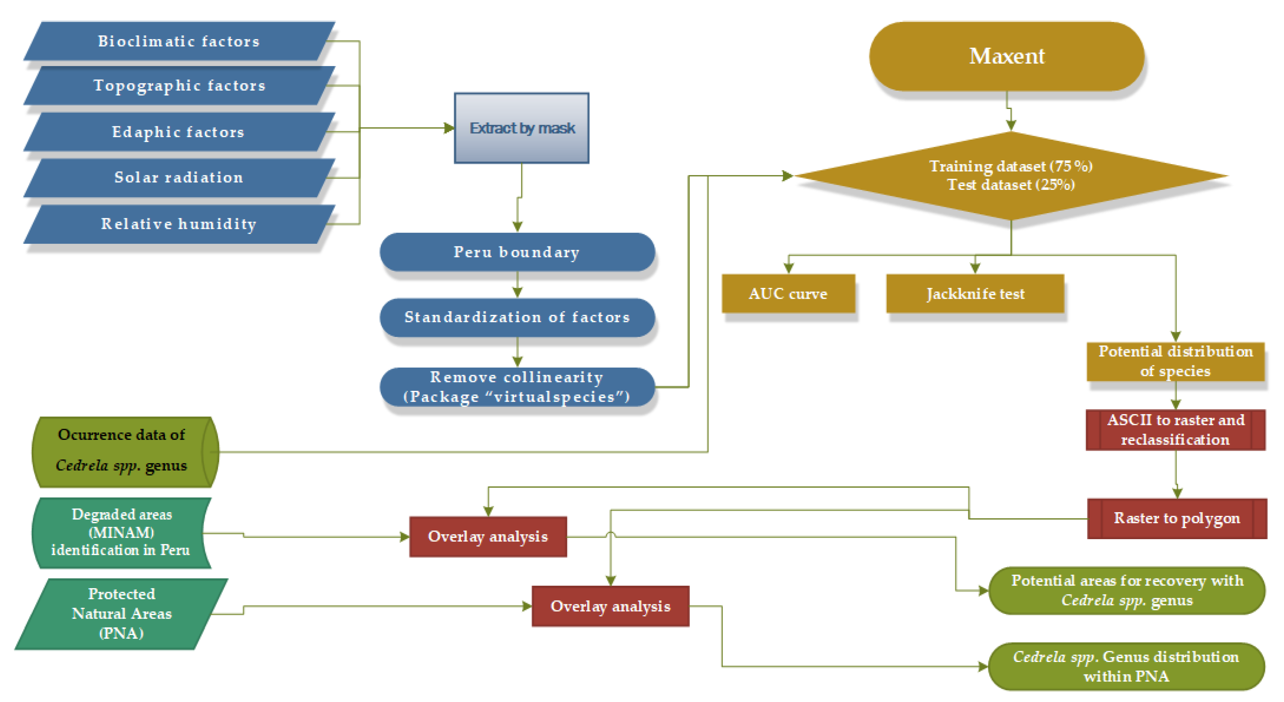 Diversity 13 00261 g002