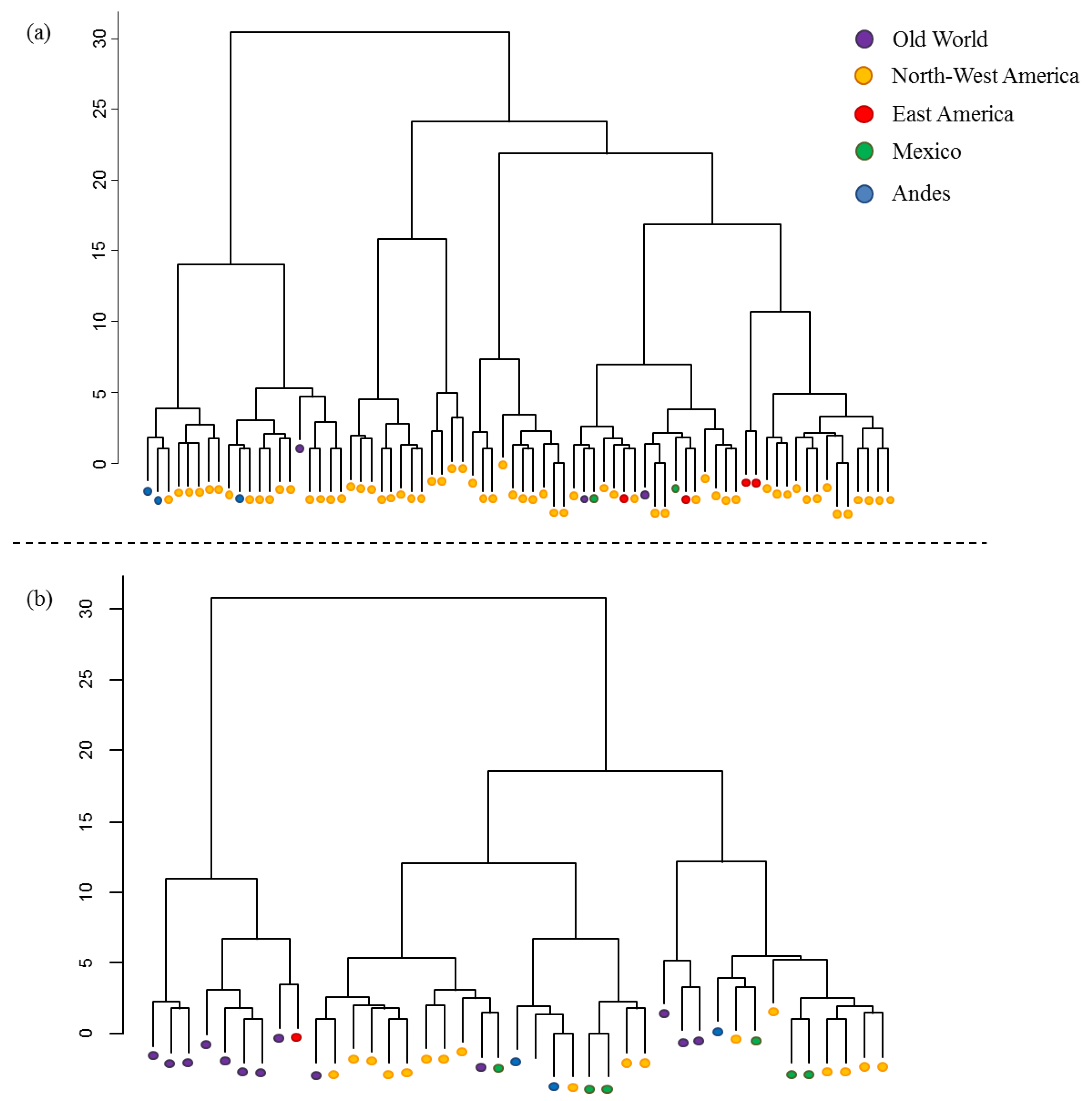 Diversity 13 00263 g003