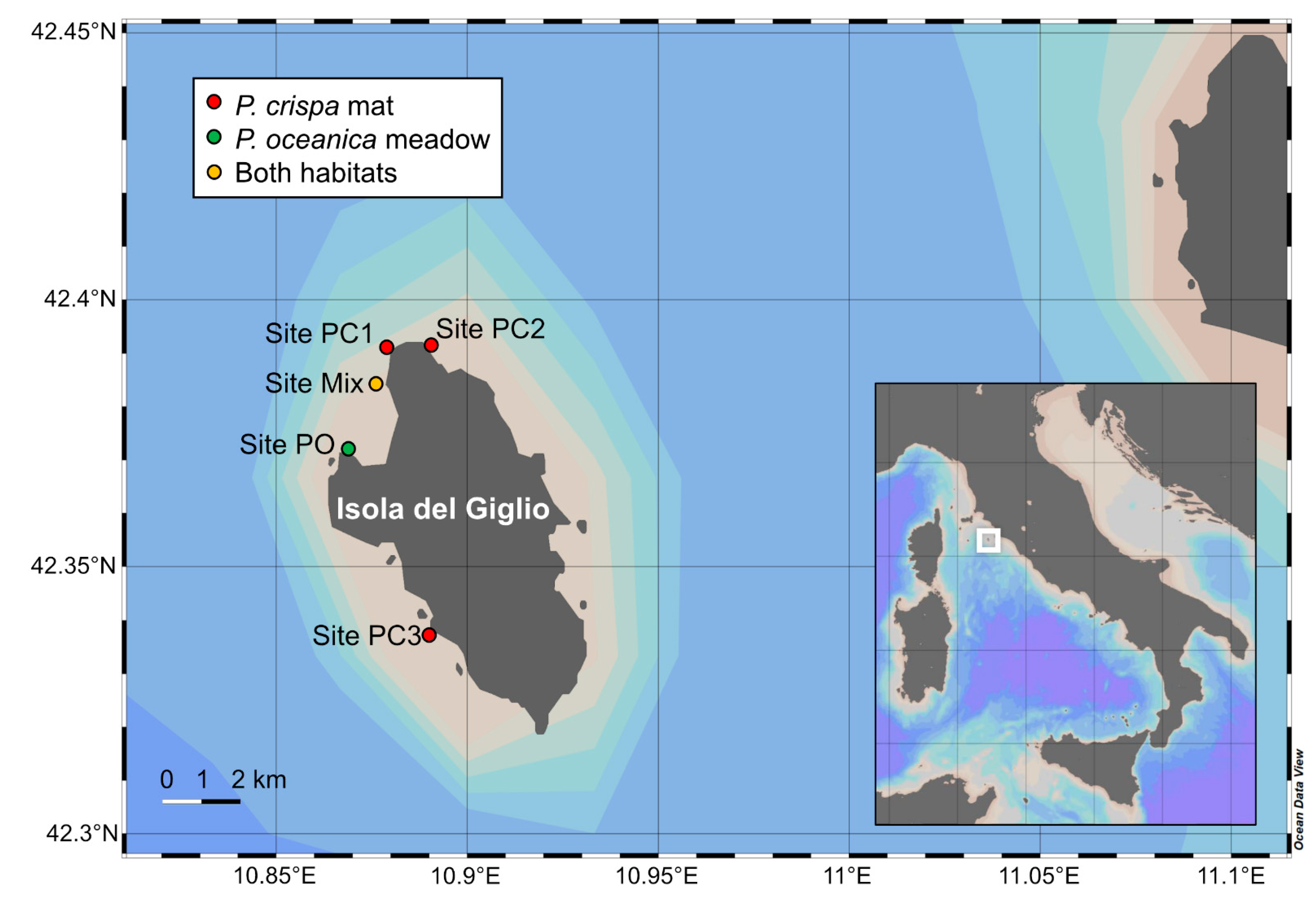 Diversity 13 00265 g002