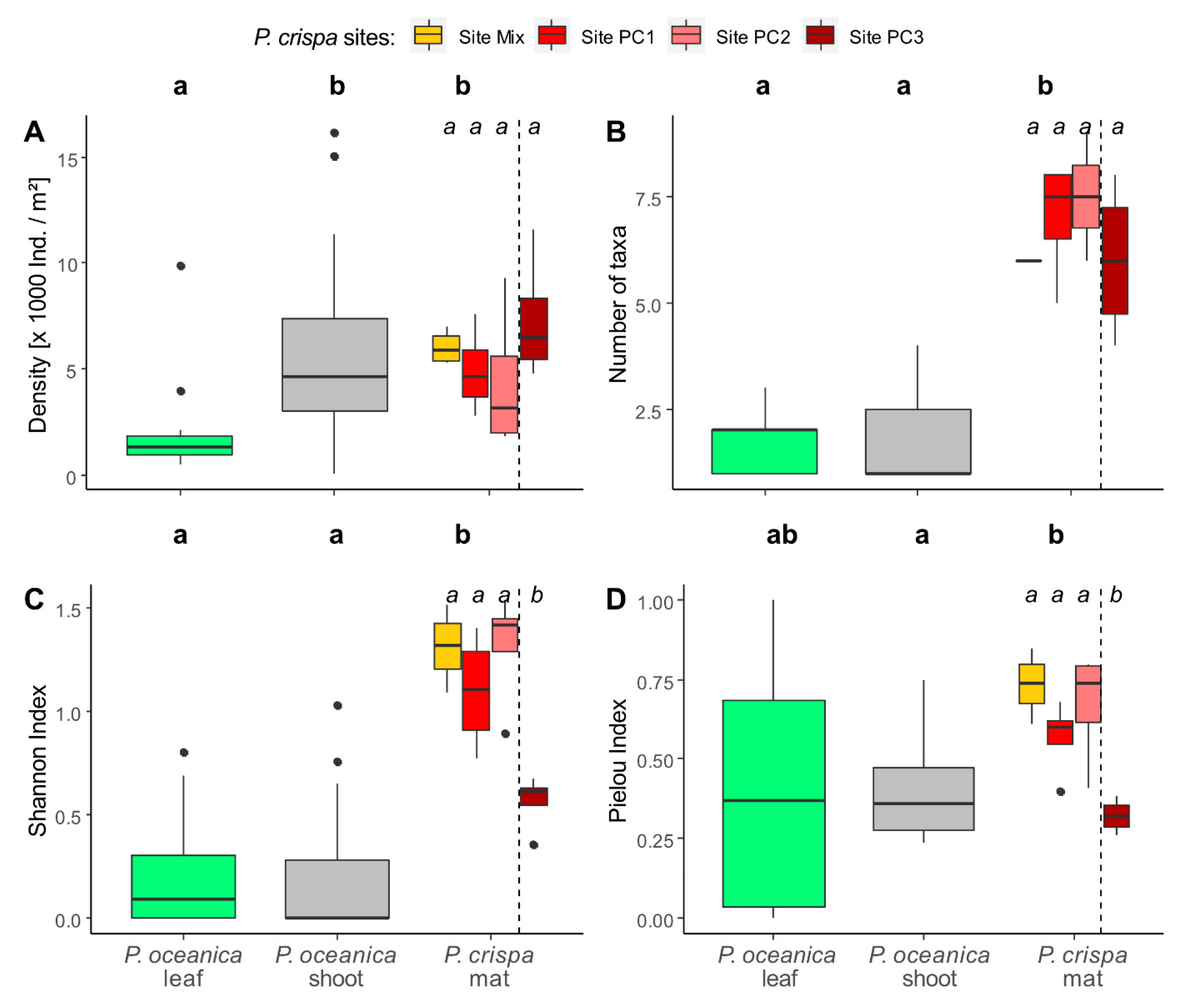 Diversity 13 00265 g003