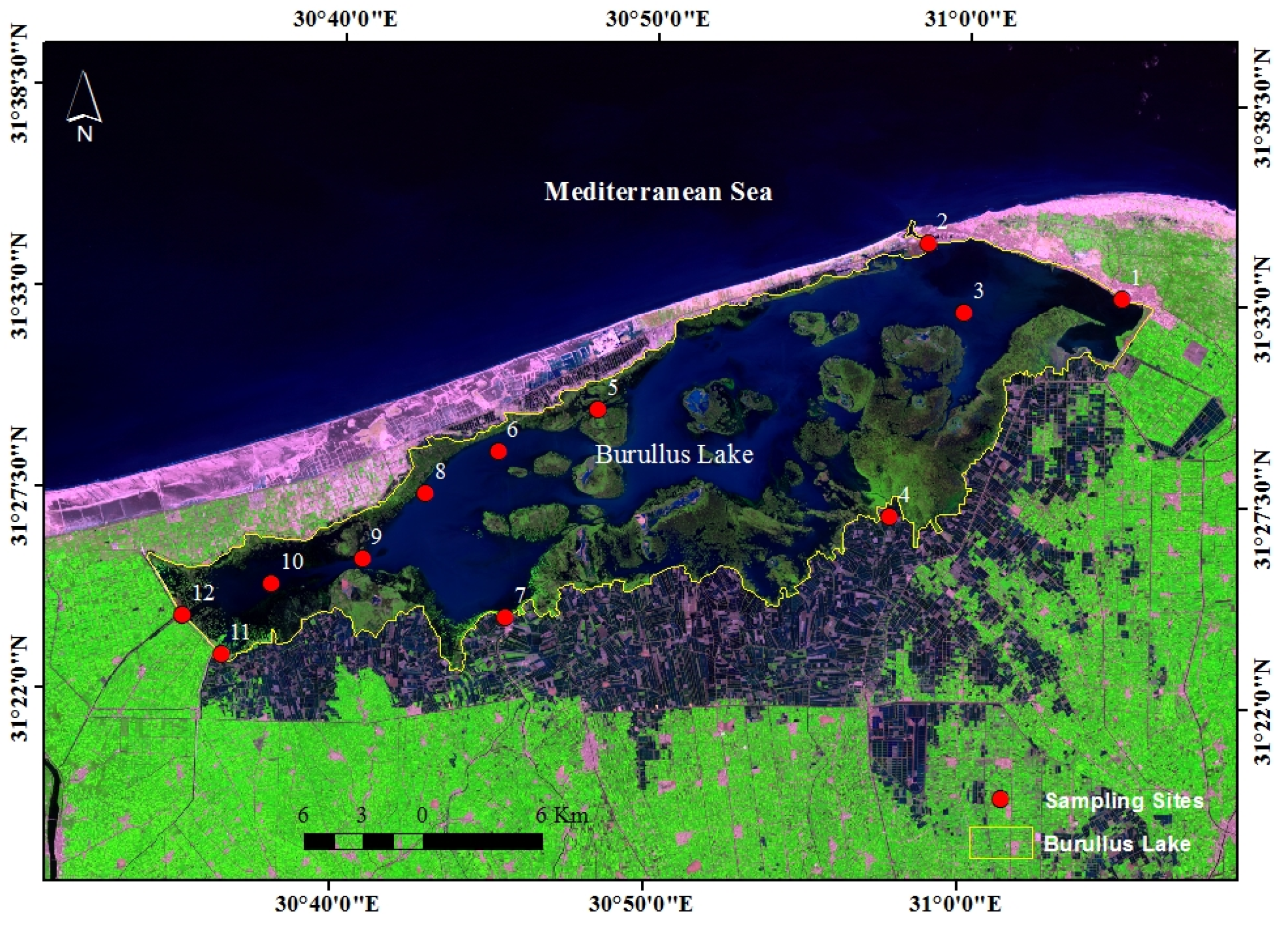 Diversity 13 00268 g001 Diversity 13 00268 g001